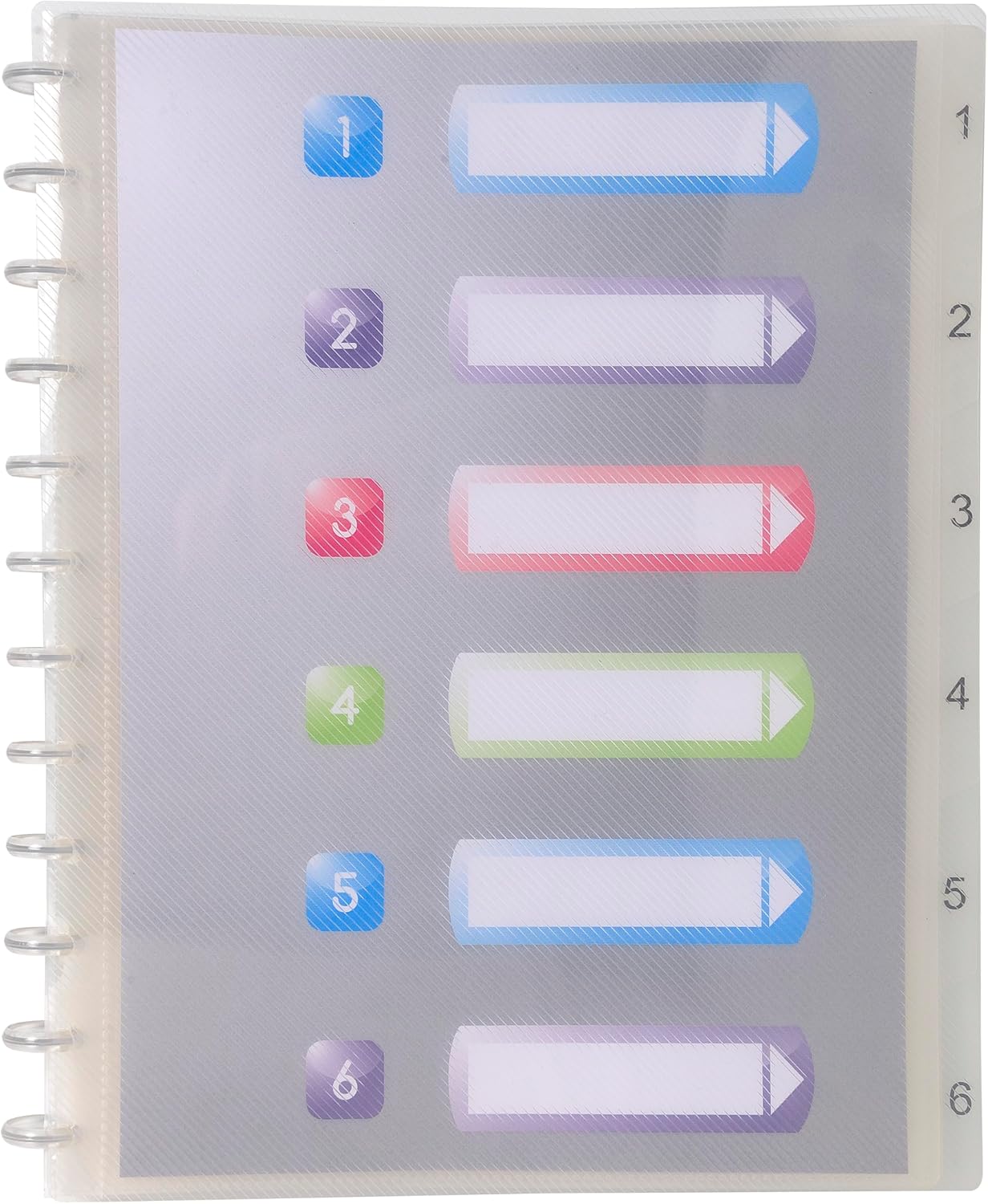Exacompta 86320E PP Display Book with Removable Pockets (Pack of 4) – A4, 30 Pockets, 60 Viewing Pages