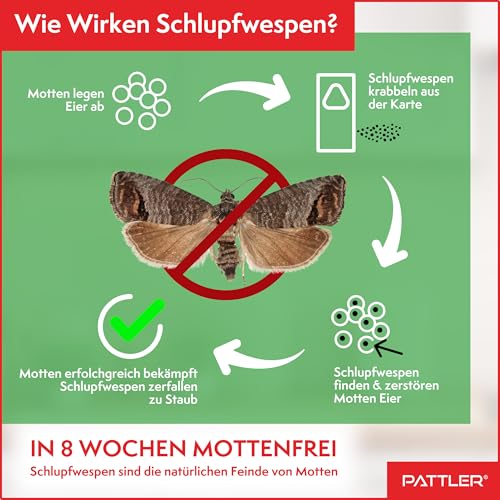 Detalle de PATTLER Schlupfwespen gegen Lebensmittelmotten – 6 Karten à 1 Lieferung