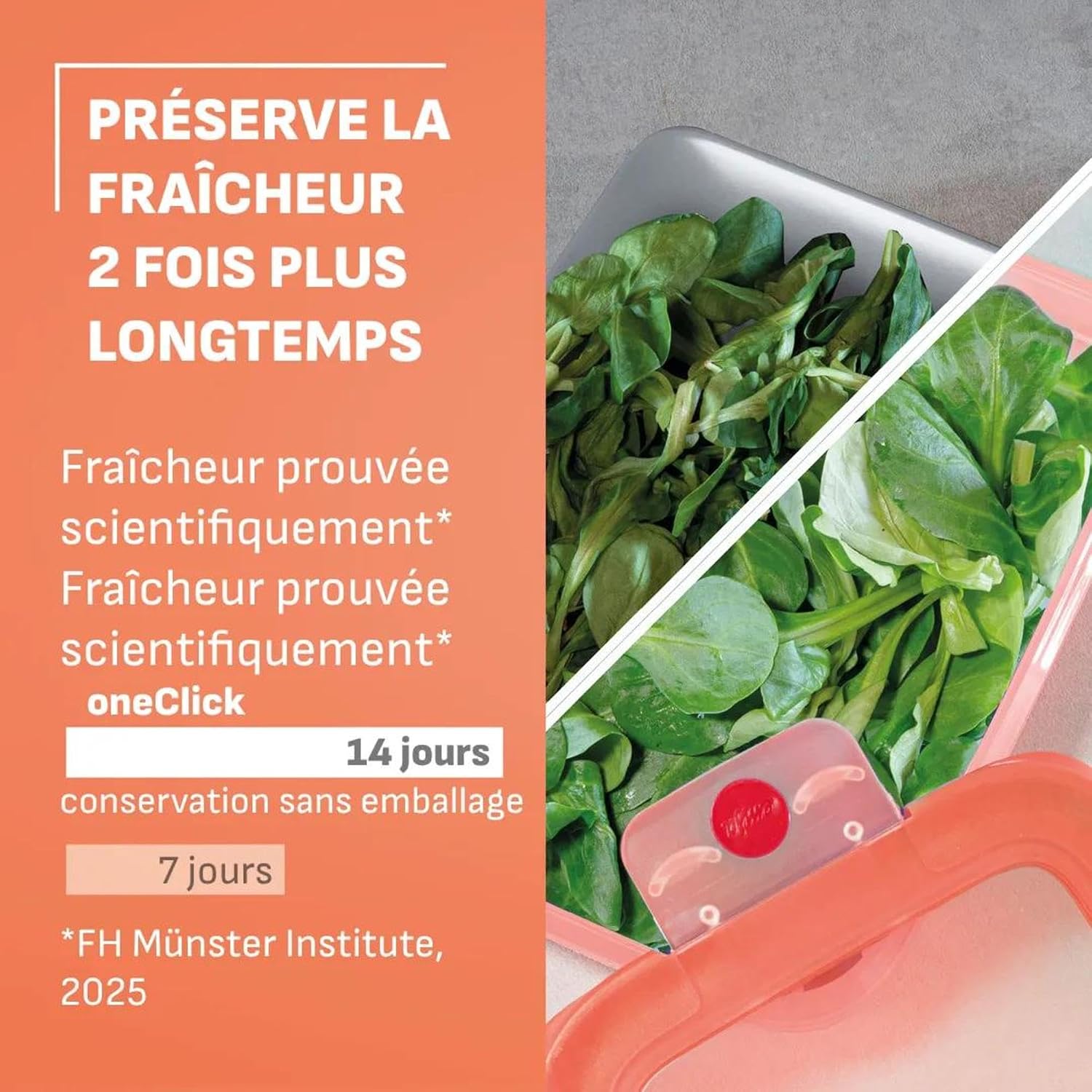 Detalle 2 de Emsa oneClick N1231000 – lot de 5 boîtes de conservation hermétiques à fermeture en un clic