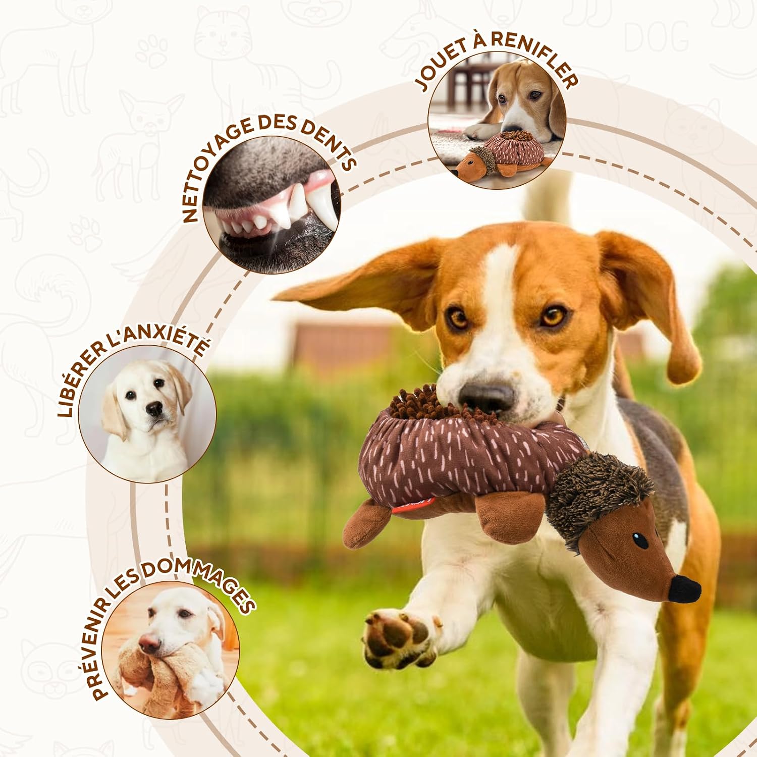 Detalle de LIFLIX Jouet Interactif 2 en 1 pour Chien en forme de Hérisson – Tendre jouet peluche et renifleur