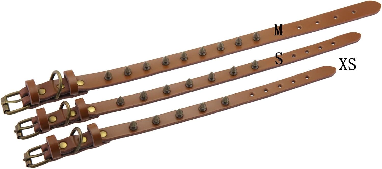 Thumbnail 6 de Dog Collar, Small