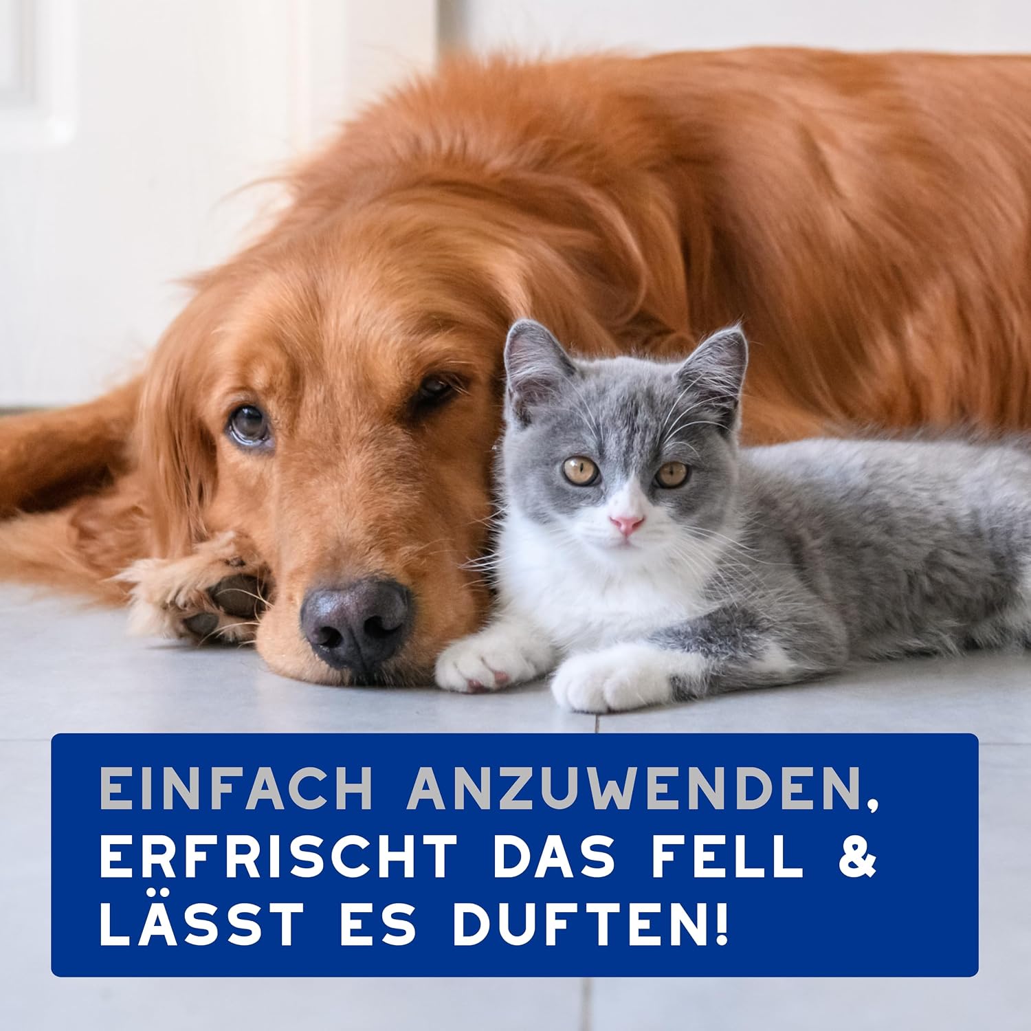 Thumbnail 6 de DOUXO Skin & Coat SPA – Ultra-Safe Feuchttücher für Hund und Katze, 100 Stück
