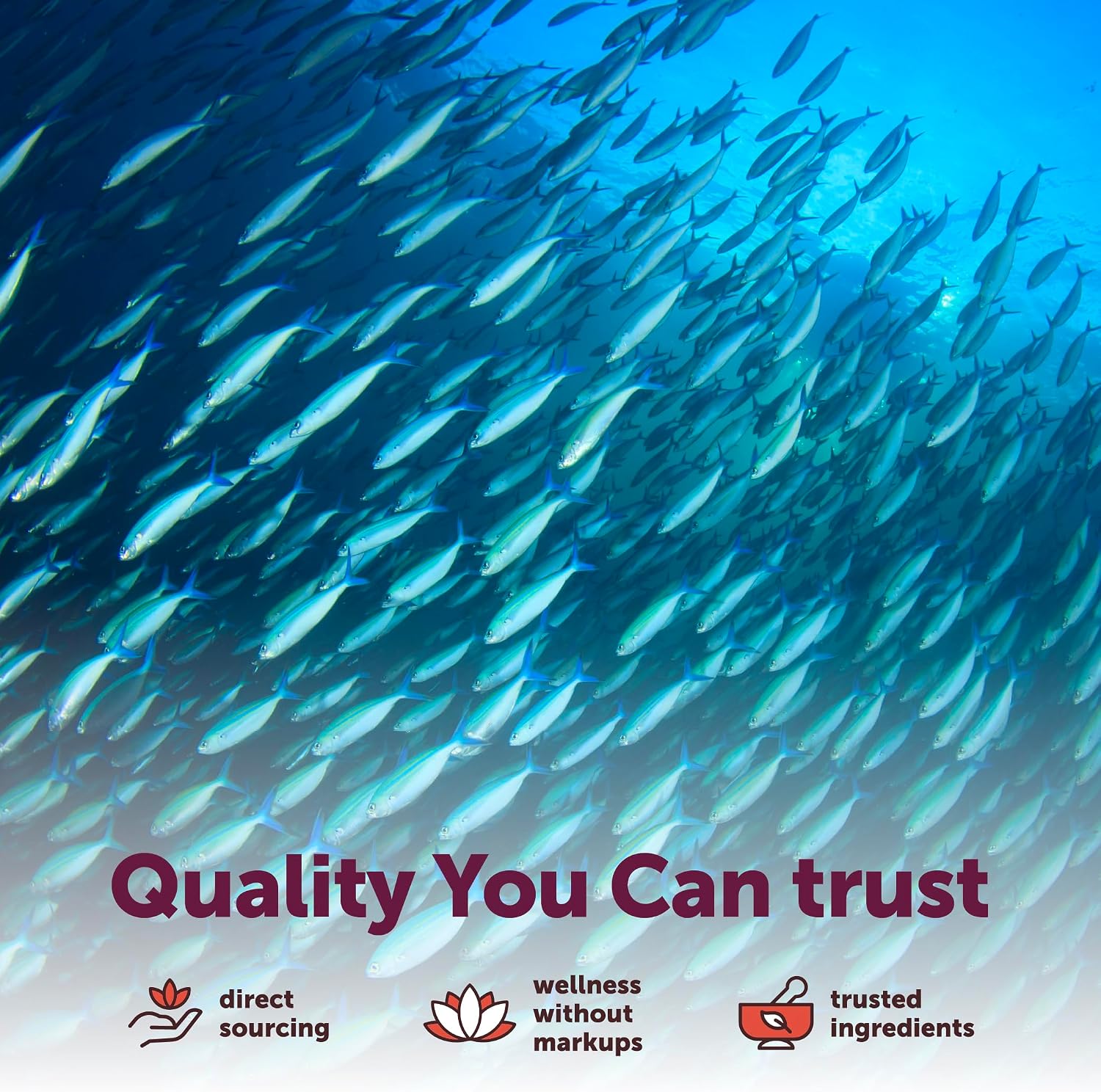 Detalle 1 de Micro Ingredients Omega-3 Fish Oil, 240 Softgels