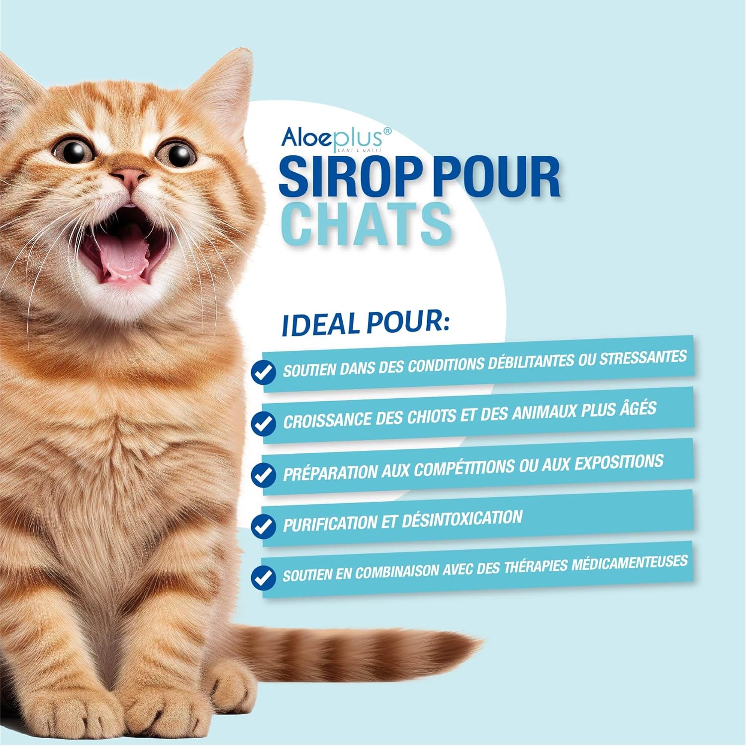 Detalle de Aloeplus Chats Sirop 100ml – Complément Alimentaire Énergétique et Détoxifiant à l’Aloe Arborescens BIO