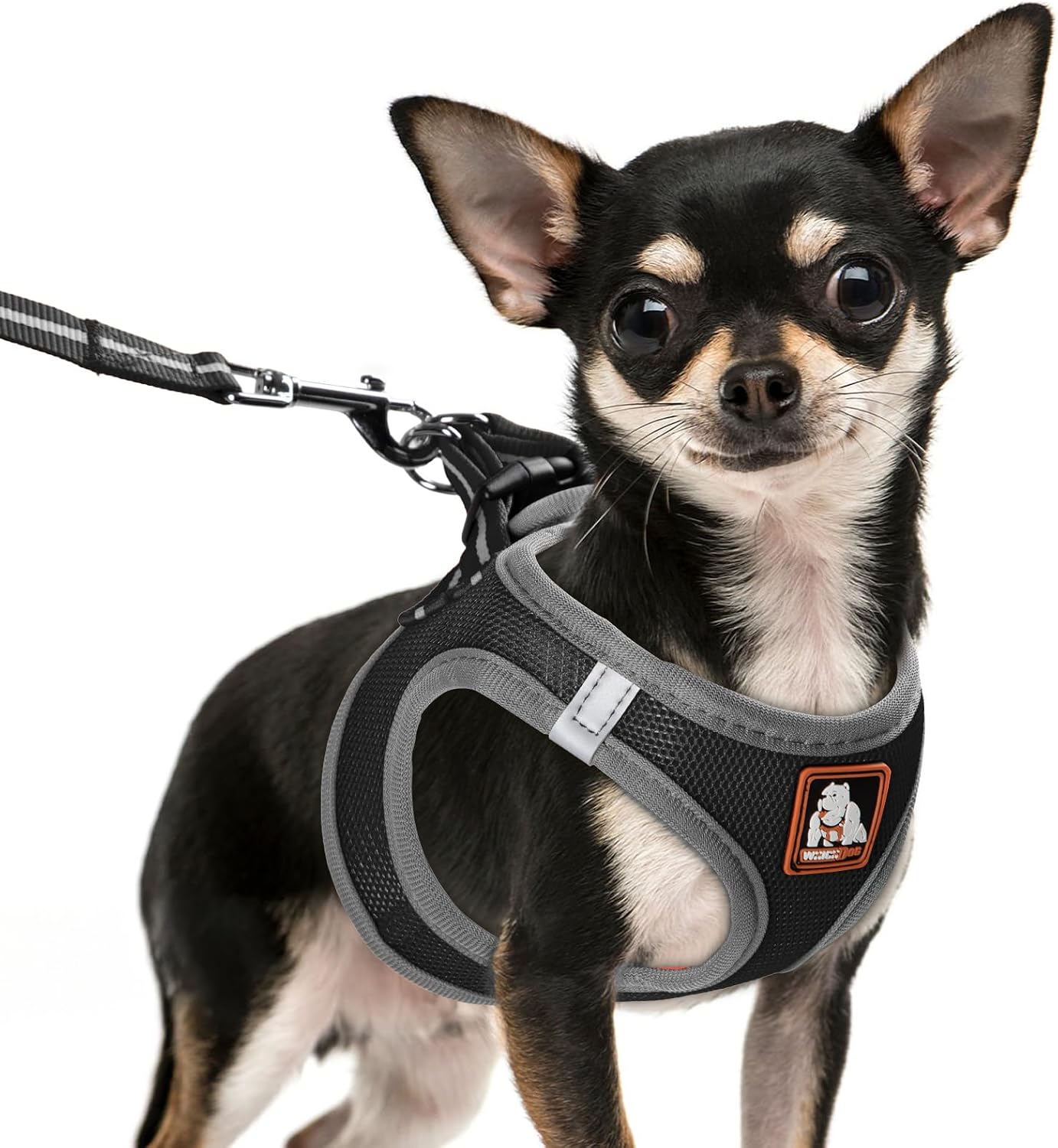 Thumbnail 6 de Dog Harness and Leash Set, Size S