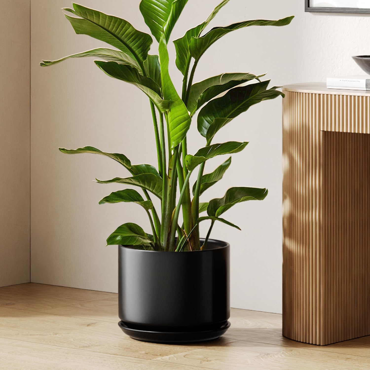 Thumbnail 6 de LE TAUCI 30 cm Plant Pot — Large White Ceramic Planter with Drainage for Indoors