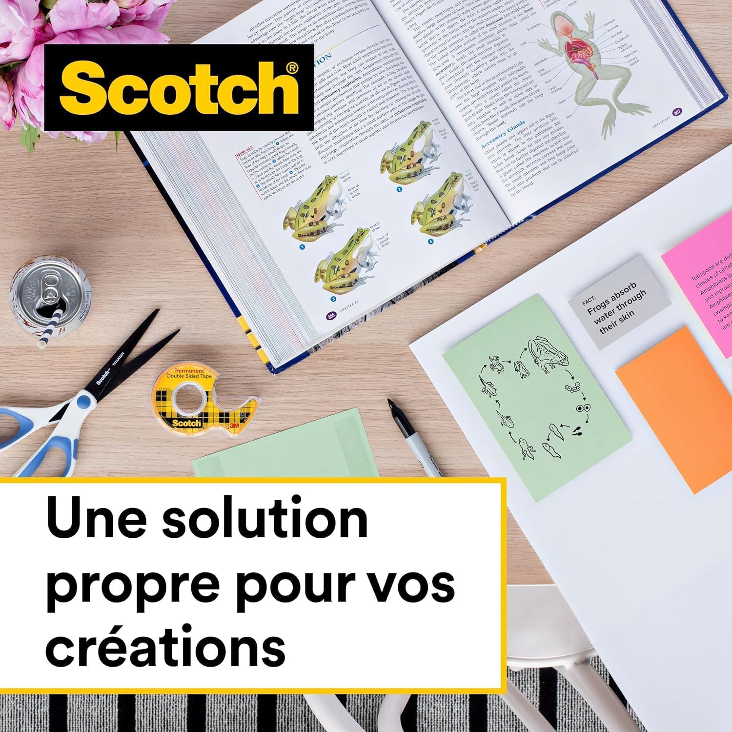 Thumbnail 4 de Scotch Ruban Adhésif Double-Face 12 mm x 6,3 m – 2 rouleaux pour bureau et école