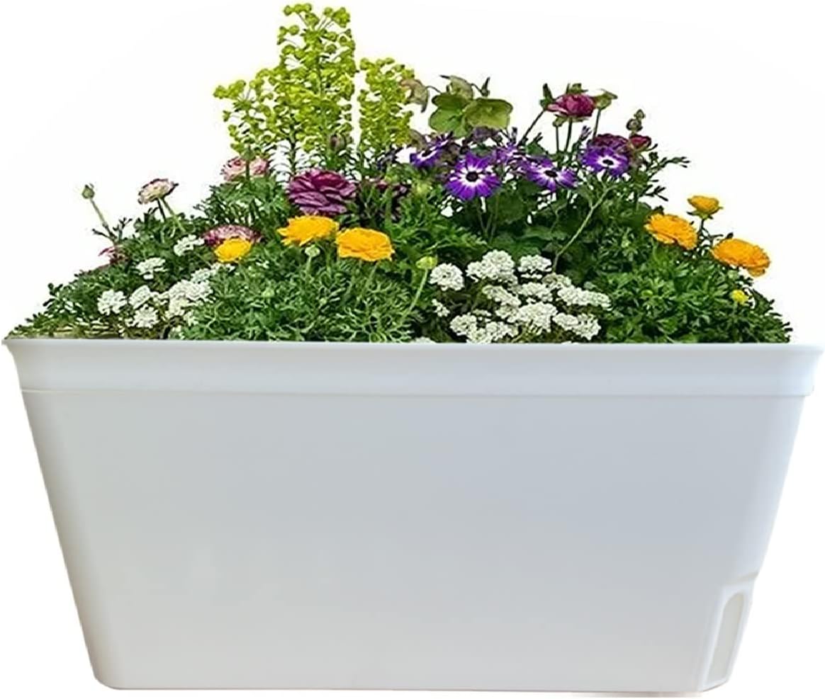 Detalle 2 de Olly & Rose Lazy Planters Self-Watering