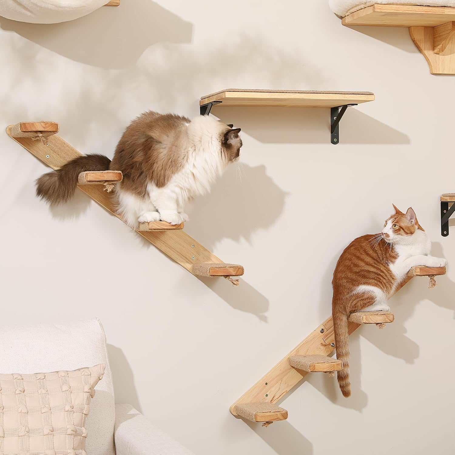 Thumbnail 6 de FUKUMARU Wandregal für Katzen – 4-stufige Wandkatzentreppe aus Massivholz mit Juteschnur (66 cm)