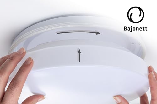 Detalle 1 de Paulmann 78898 HomeSpa Axin lámpara techo 18 W