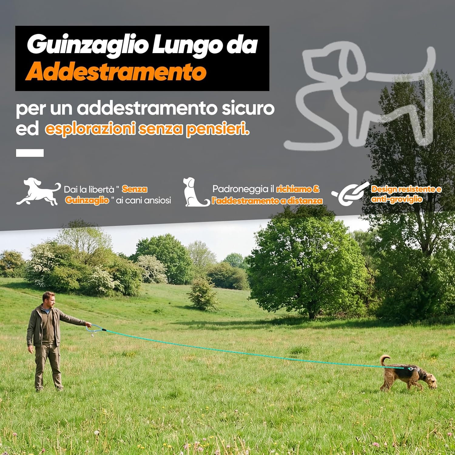 Detalle 2 de Aystkniet Guinzaglio da addestramento per cani con 2 ganci girevoli e filo riflettente, lunghezze 5–30 m
