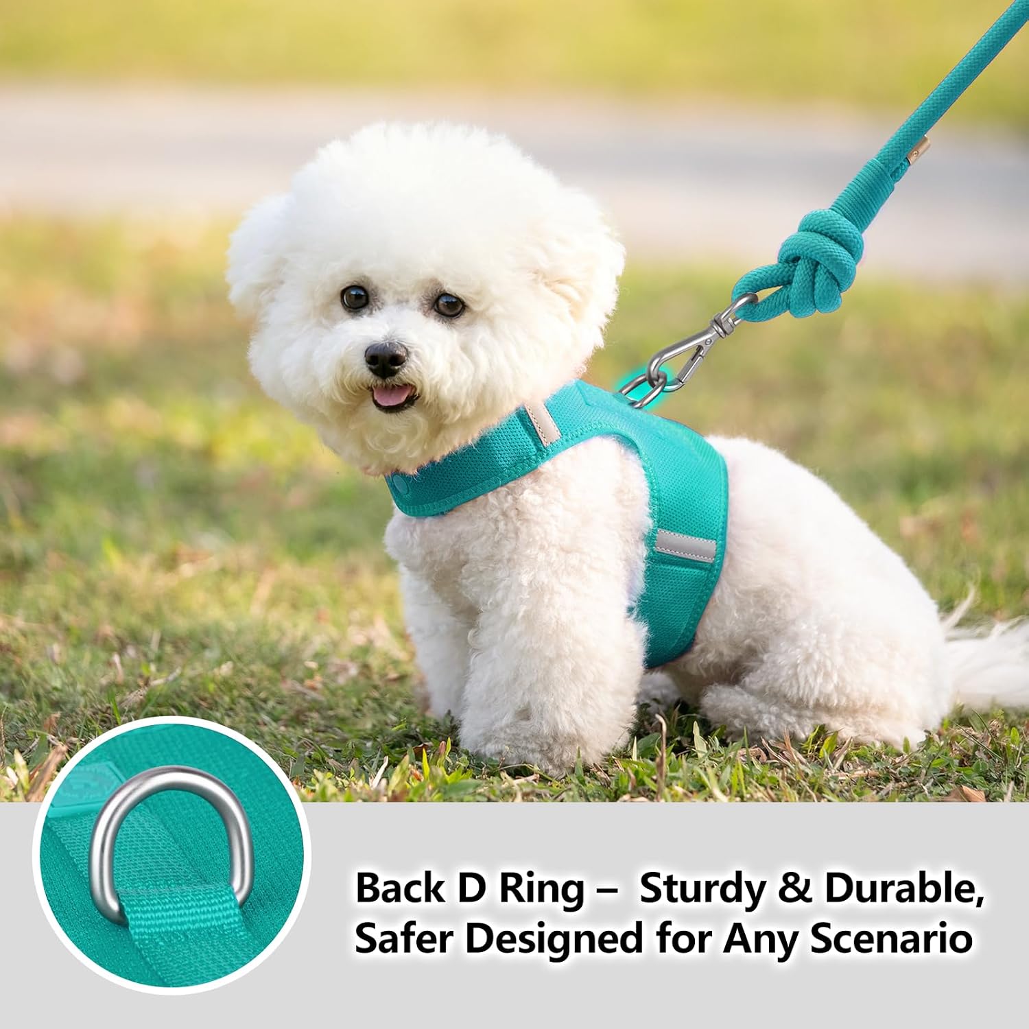 Detalle de Sunraymascota Cat Harness XXS