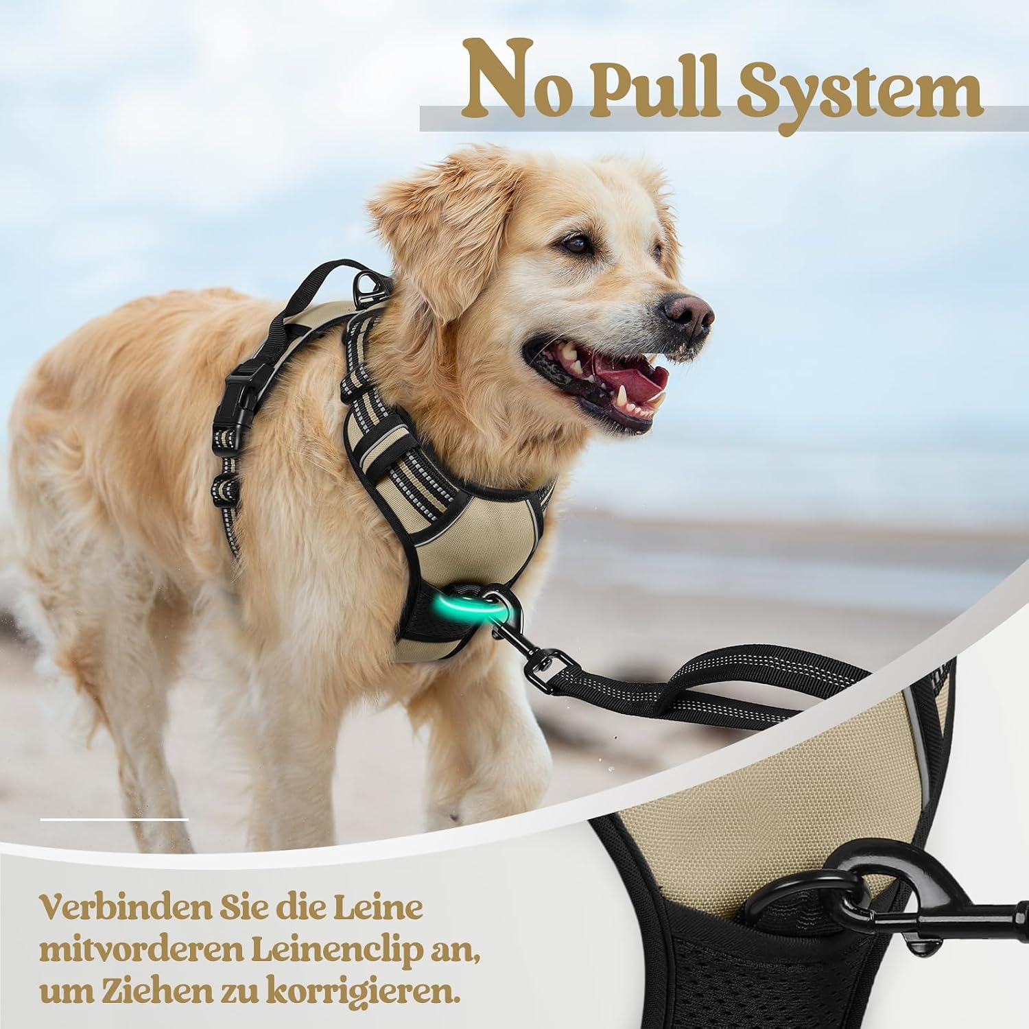 Detalle de rabbitgoo Hundegeschirr Mittelgroße Hunde – Anti-Zug, verstellbar, atmungsaktiv, Reflektor, Größe S (33–61 cm Brustumfang)