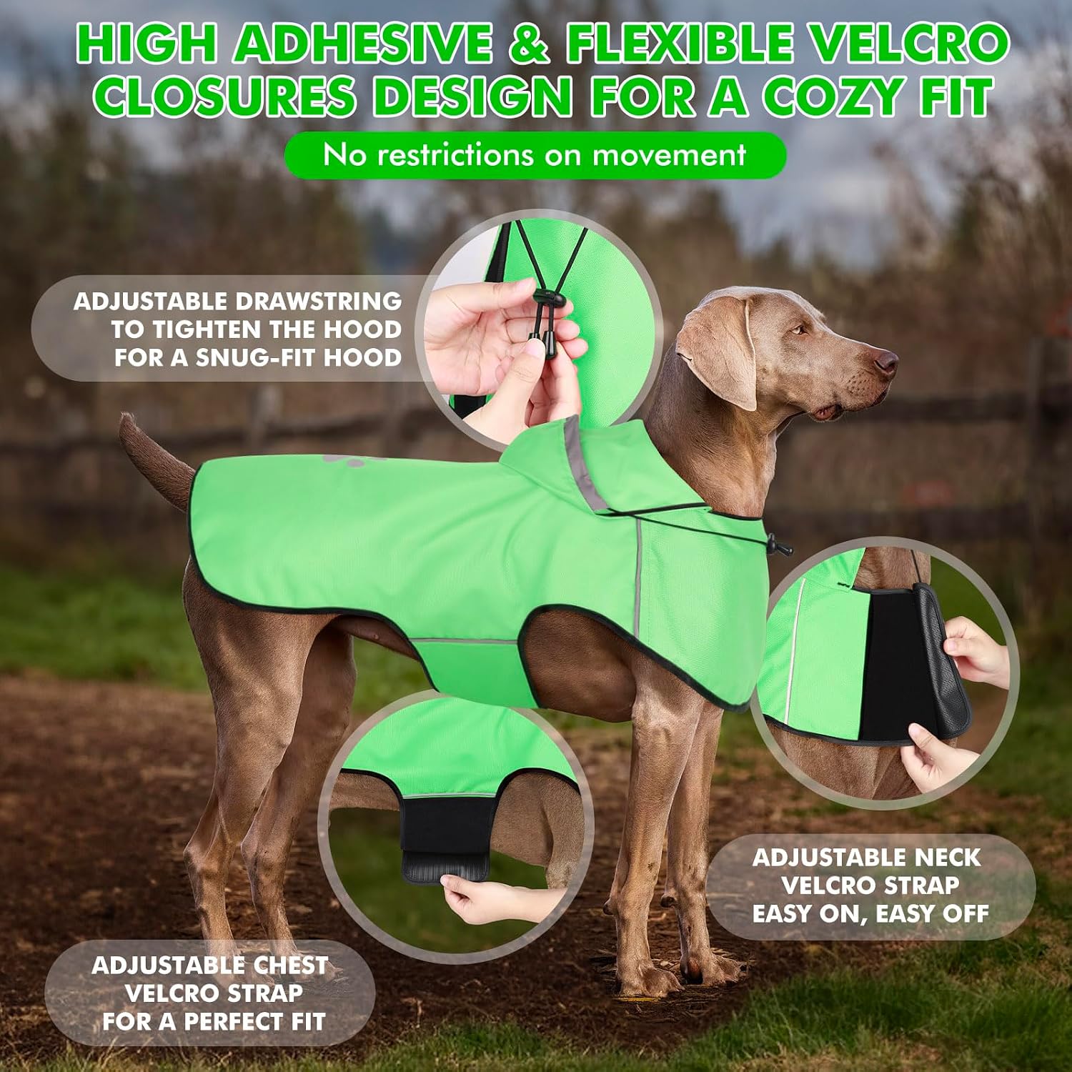Thumbnail 5 de BiPawTi Hunderegenmantel L Mint – wasserdicht und reflektierend
