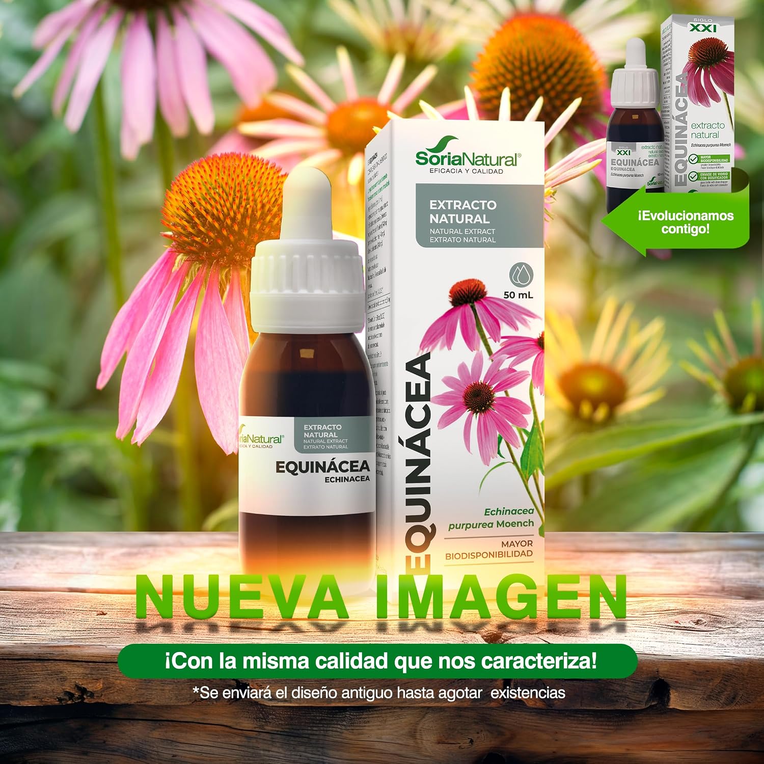 Detalle 2 de Soria Natural Extracto de Equinácea 50 ml