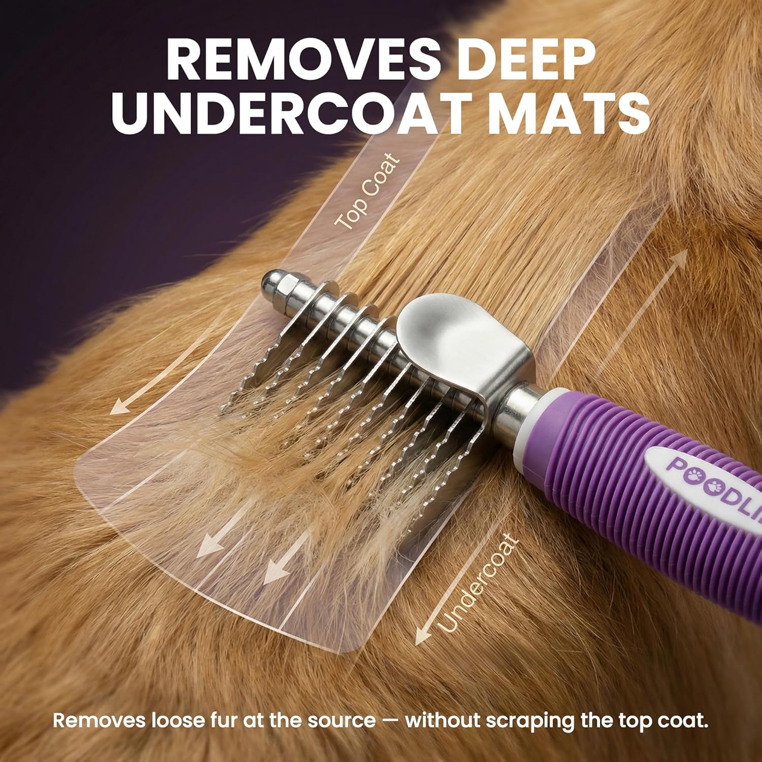 Thumbnail 1 de Poodle Pet Dematting Comb, 2.5-inch blades