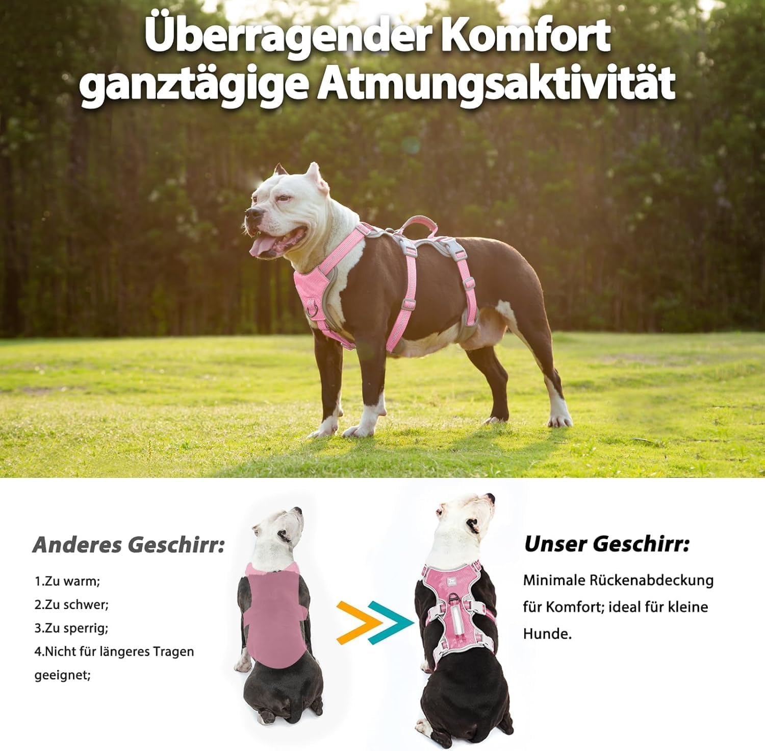 Thumbnail 4 de Huntboo Ausbruchssicheres Sicherheitsgeschirr für Hunde (rosa, M) mit gepolstertem Griff, reflektierend & wasserdicht