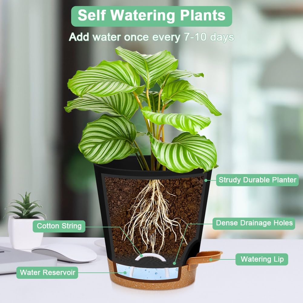 Thumbnail 2 de OFFCUP Maceteros Decorativos Interior 20 cm