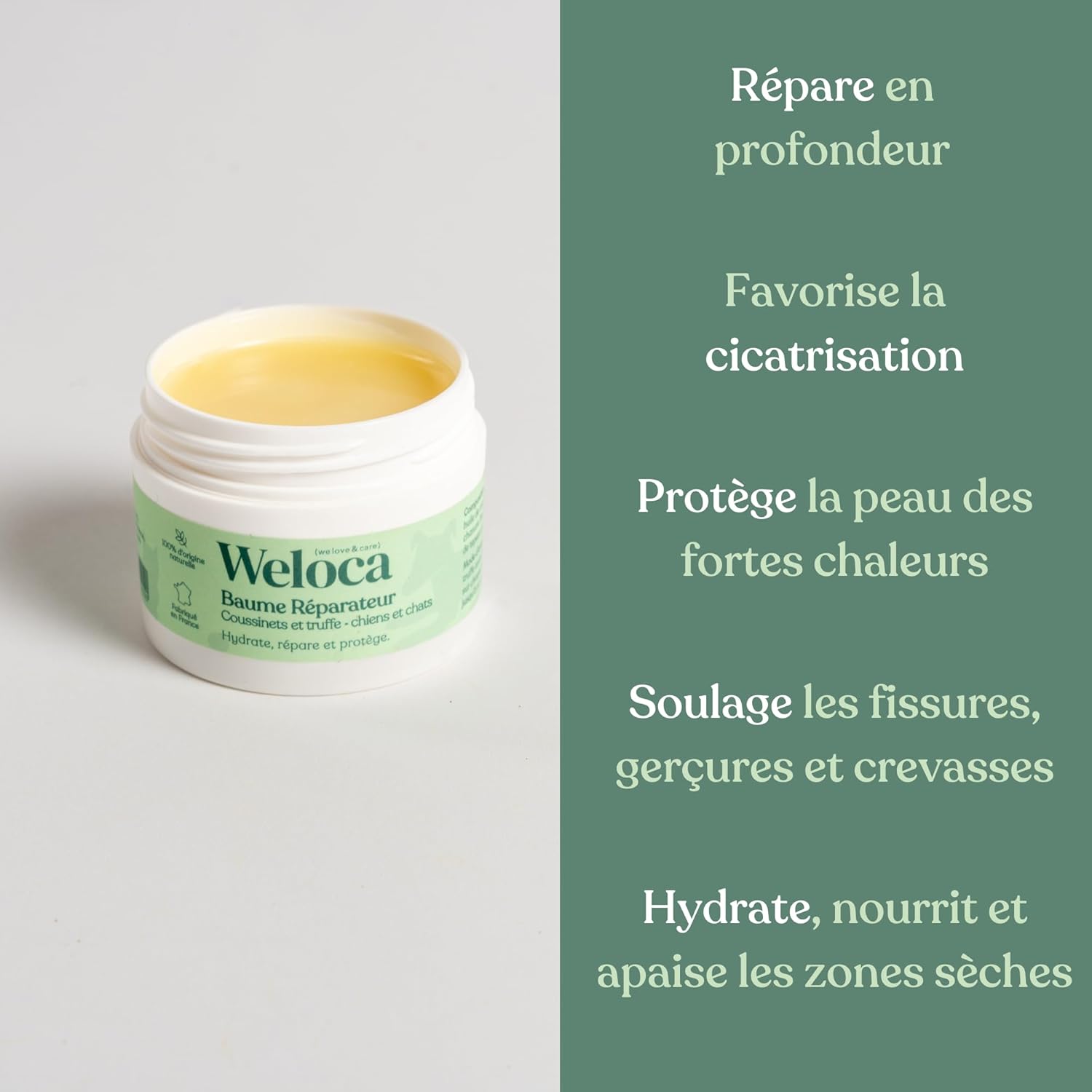 Thumbnail 1 de Baume Coussinet chien – Répare, hydrate et protège les coussinets et la truffe, 50 ml, 100% naturel