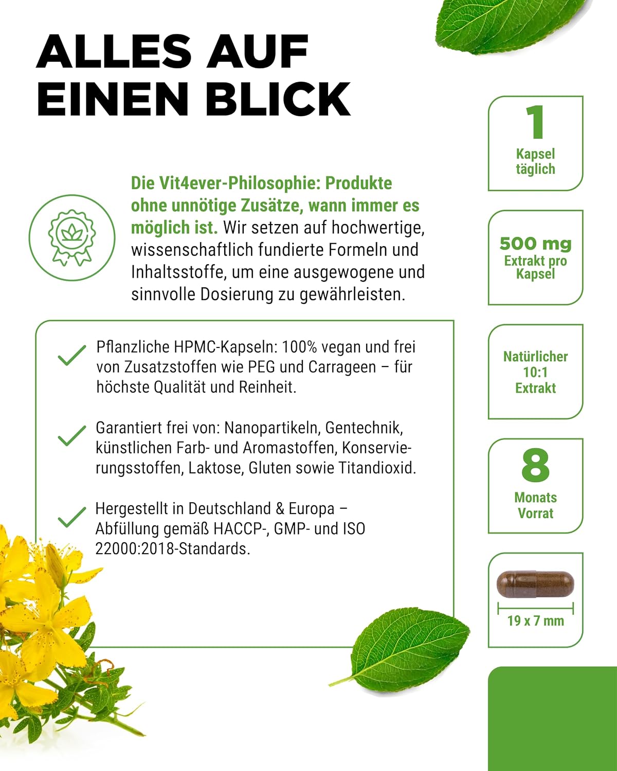 Detalle 2 de Vit4ever Johanniskraut 240 Kapseln 500 mg 💊