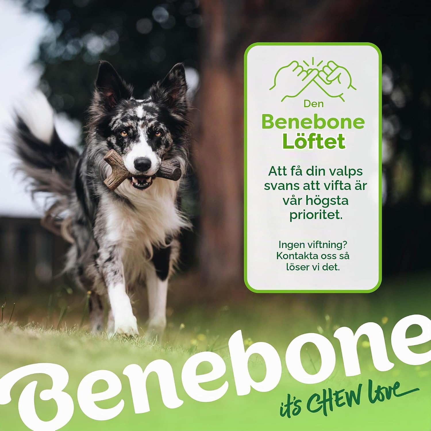 Detalle 2 de Benebone hundleksak i äkta lönnträ, stor tuggleksak för inomhusbruk