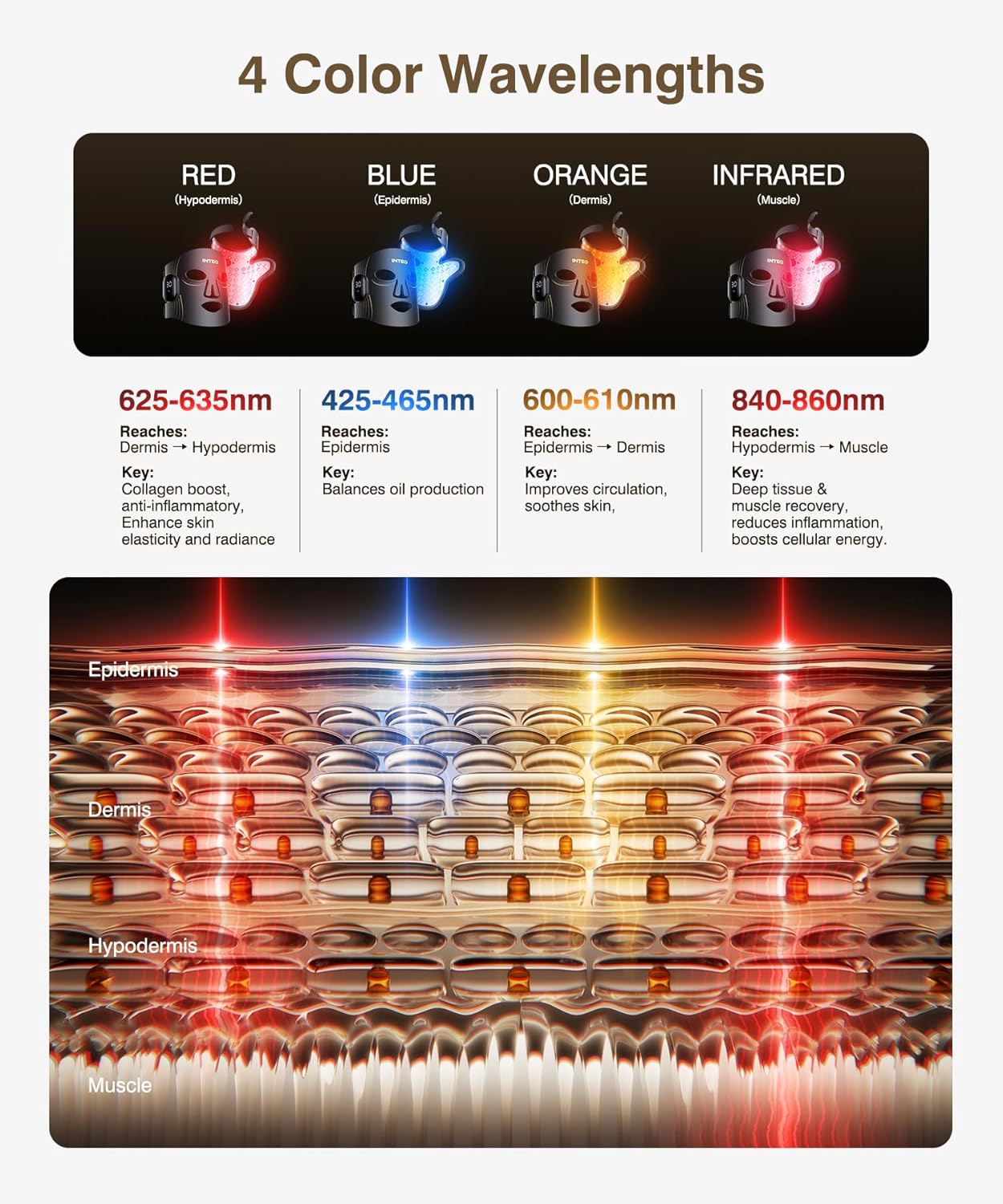 Thumbnail 6 de Red Light Therapy for Face and Neck: 4 Modes Cordless Mask with 680 Beads