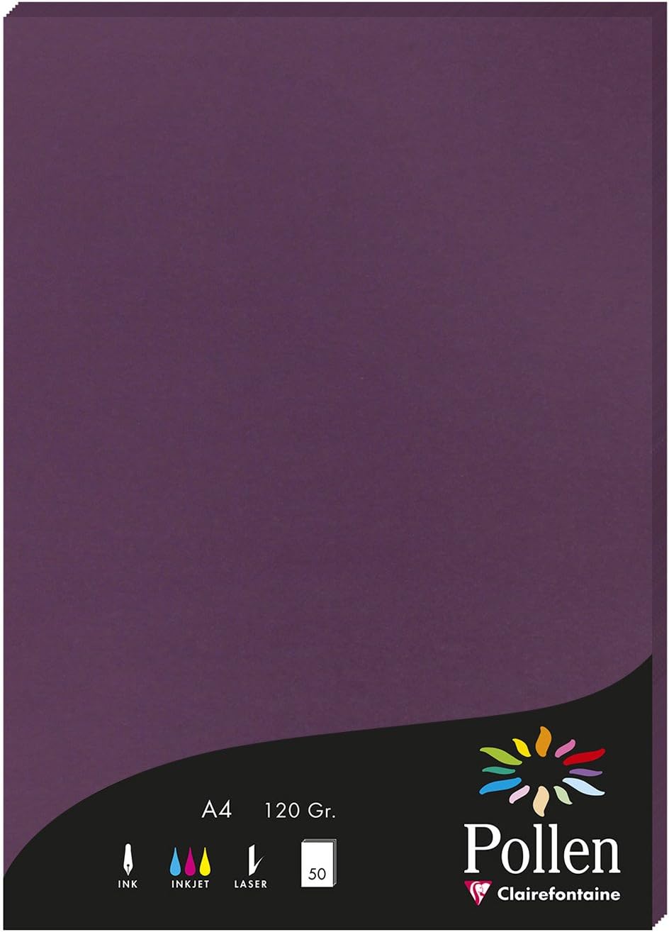 Detalle de Clairefontaine 4199C Silver Iridescent Pollen Paper Wallet (A4, 50 sheets)