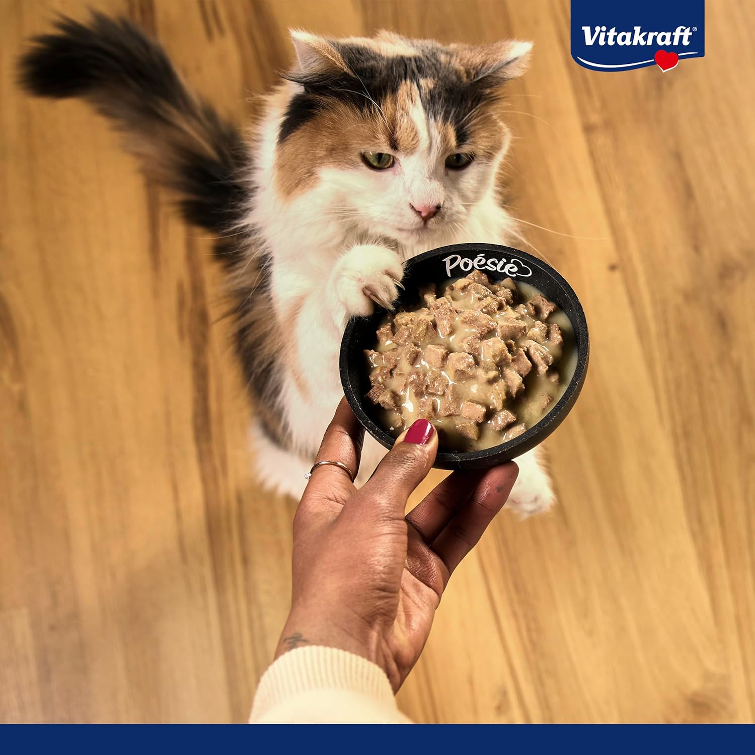 Thumbnail 5 de Vitakraft Poésie Classique Nassfutter für Katzen – Gelee-Varianten mit Huhn, Pute, Geflügel und Ente (5 Pakete à 12x85 g)
