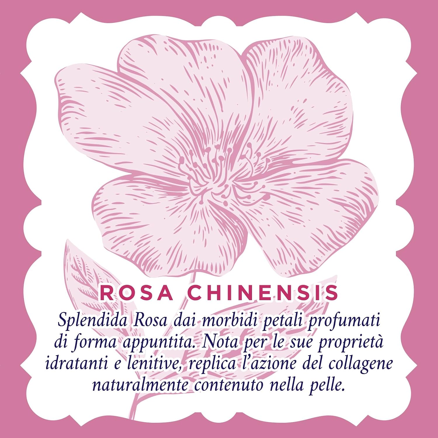 Thumbnail 4 de Acqua alle Rose Siero in Crema Lenitivo 30 ml