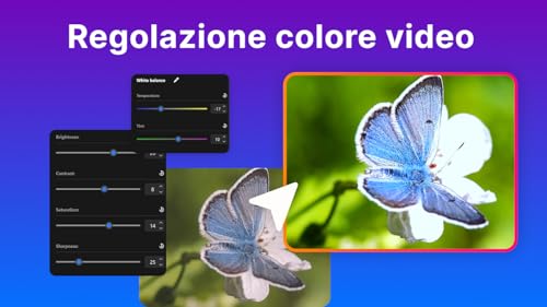 Thumbnail 6 de Nero AI Video Upscaler Pro 365: miglioramento video con AI fino a 4K per PC singolo