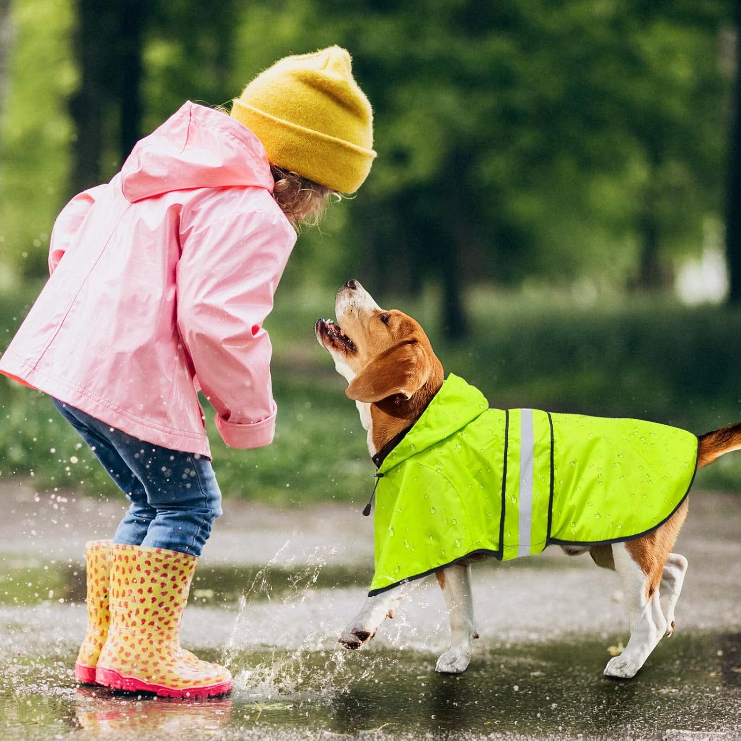Thumbnail 4 de Dolitego Dog Raincoat, Medium