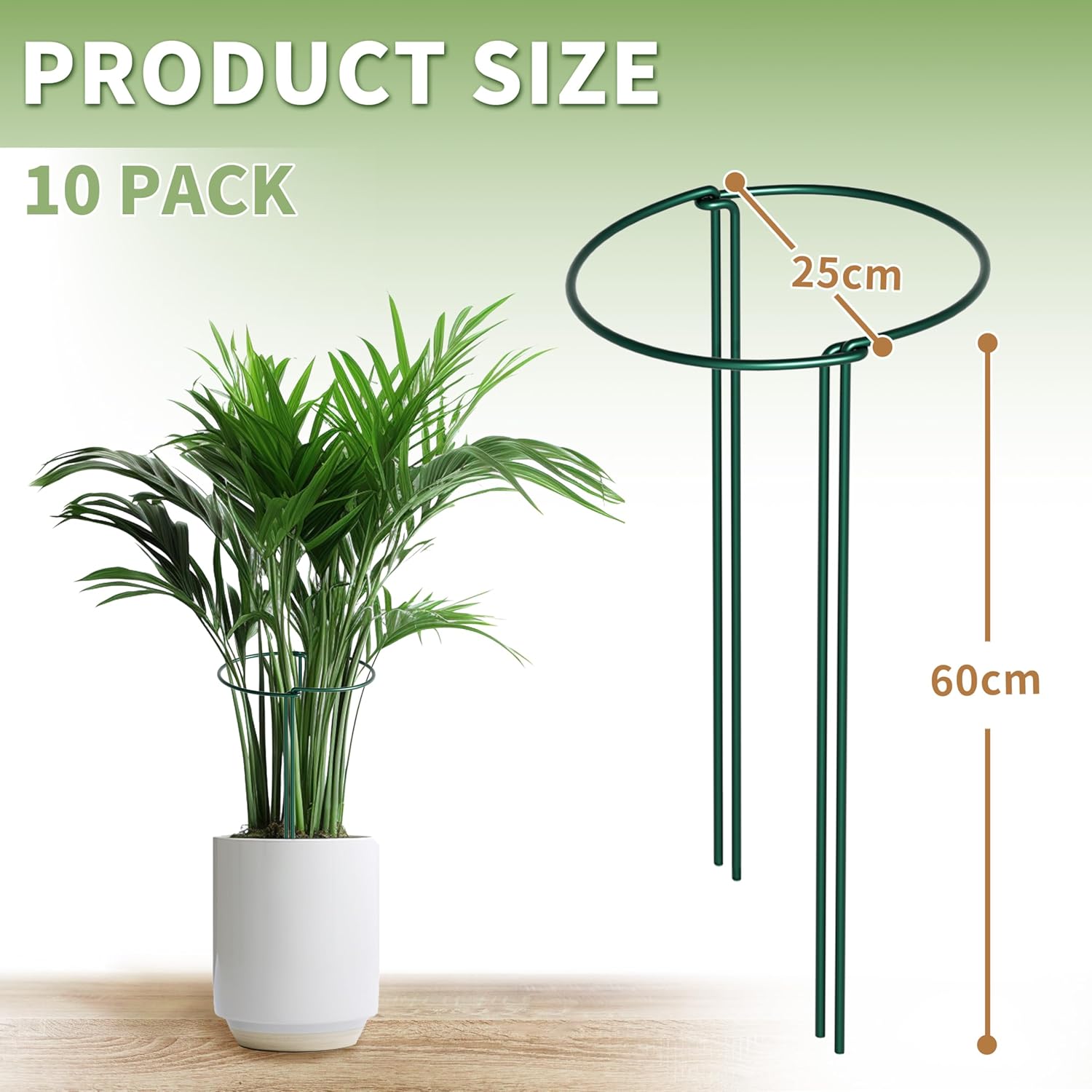 Detalle de 10Pcs Thicken 4MM Metal Garden Supports (25cm Ø x 60cm H) – Extra Thick Plant Cages for Tomatoes & Peonies