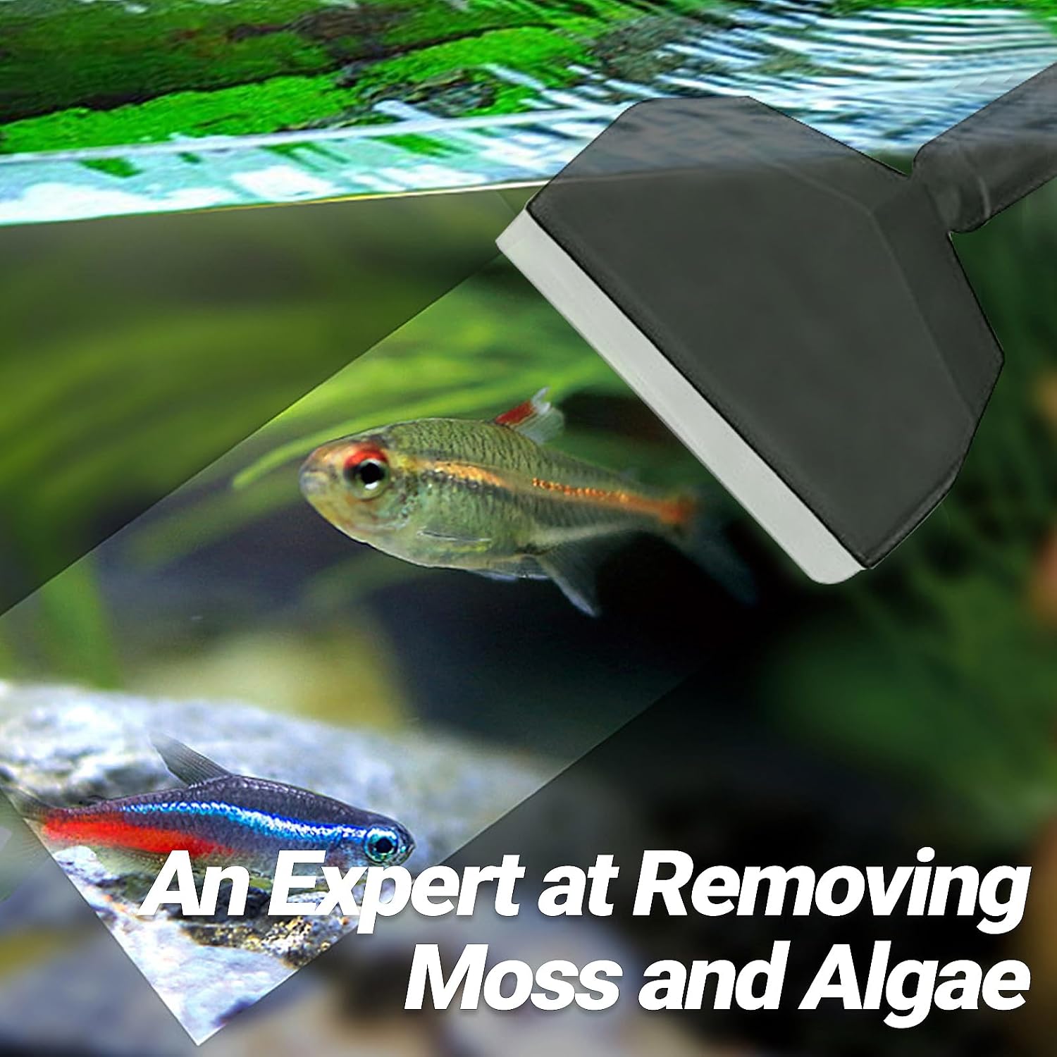 Detalle de HUSOUE 3-in-1 Fish Tank Cleaner Kit: Algae Scraper, Triangle Brush & Right Angle Brush