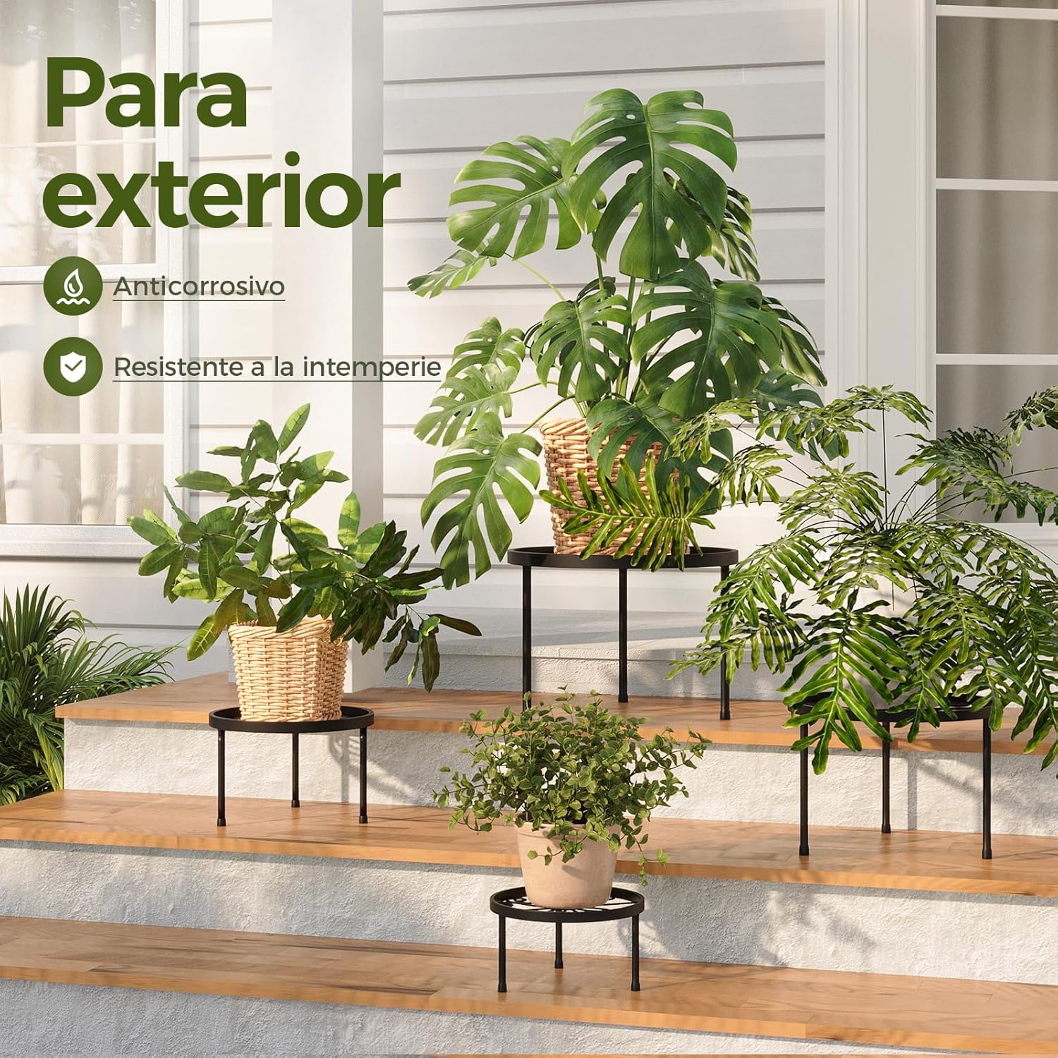 Thumbnail 2 de Bamworld soportes para flores 5 piezas