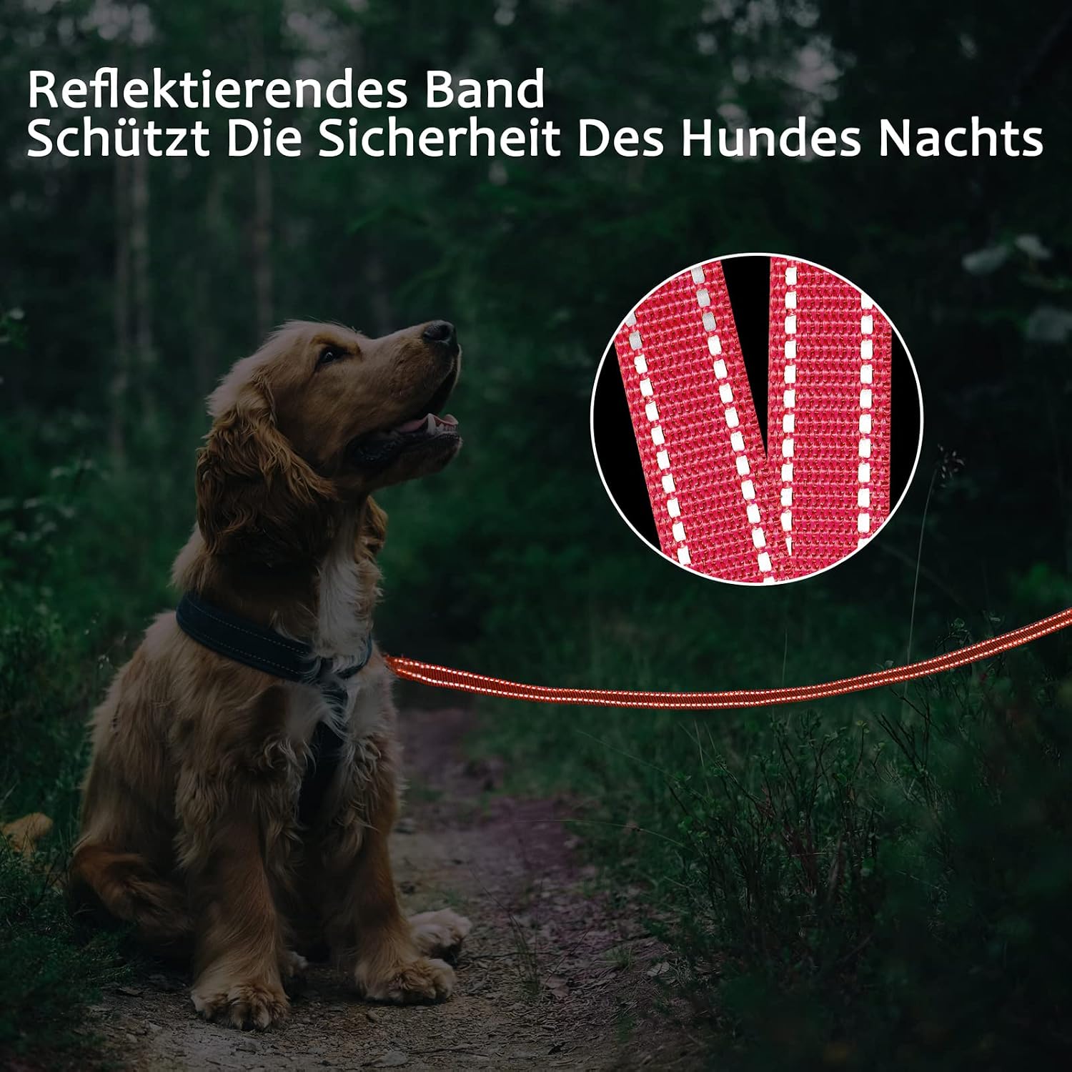 Detalle 1 de Demigreat Schleppleine für Hunde 20 m