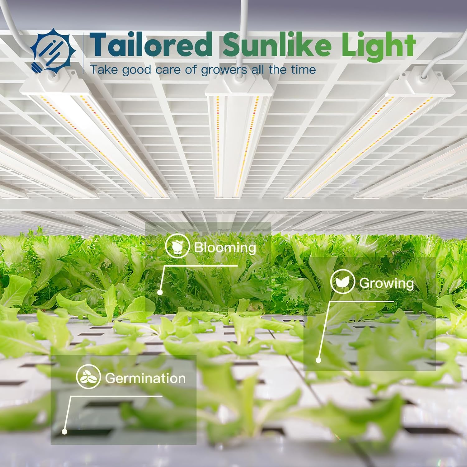 Detalle 2 de FREELICHT LED Grow Light