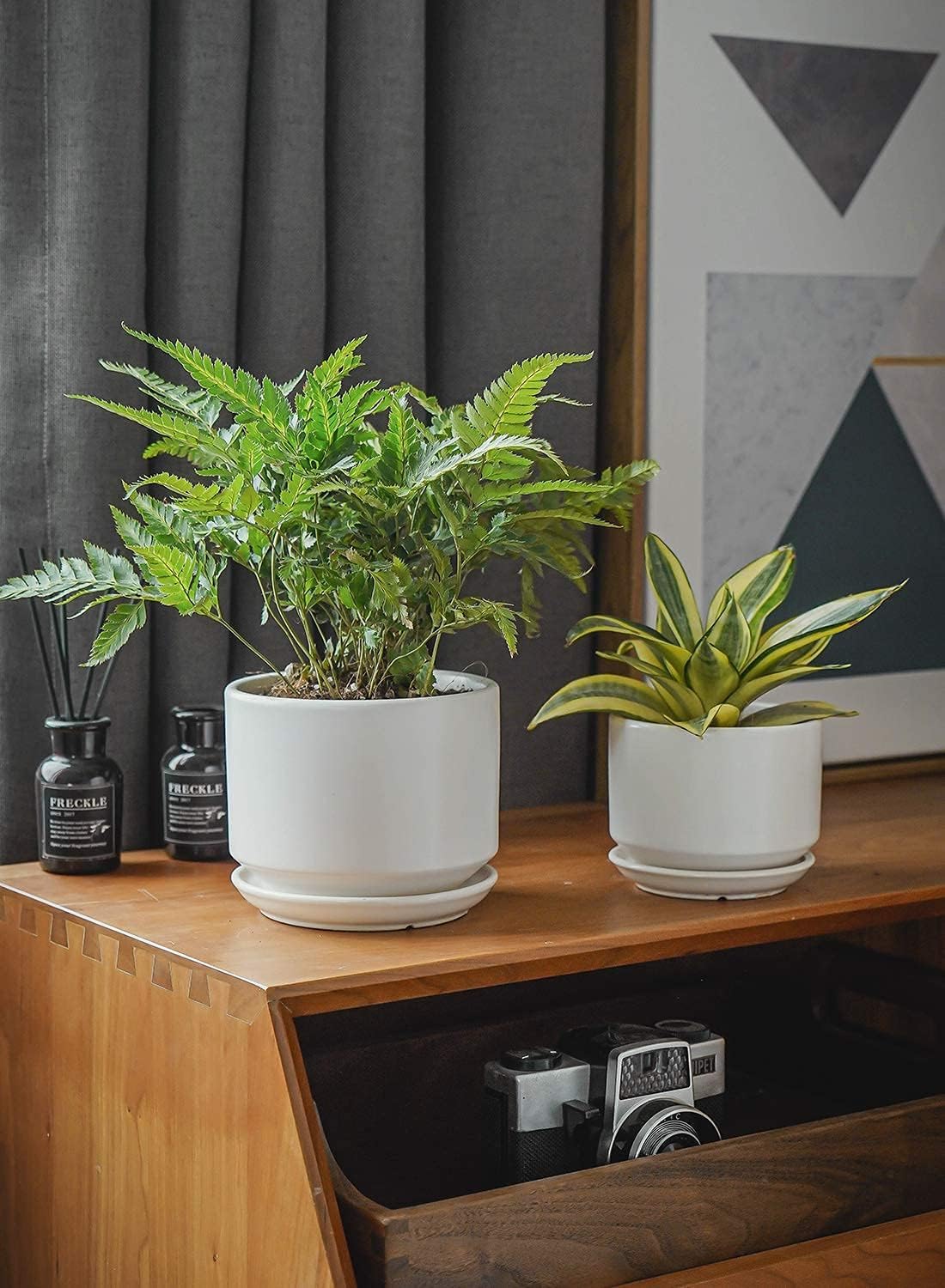 Detalle 2 de LE TAUCI Ceramic Plant Pots set with drainage 11 cm 🌱
