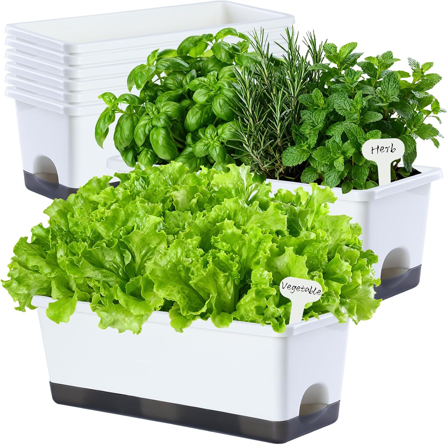Detalle de Oliz 17-Inch Self-Watering Window Planters, 8-Piece Set with Drainage