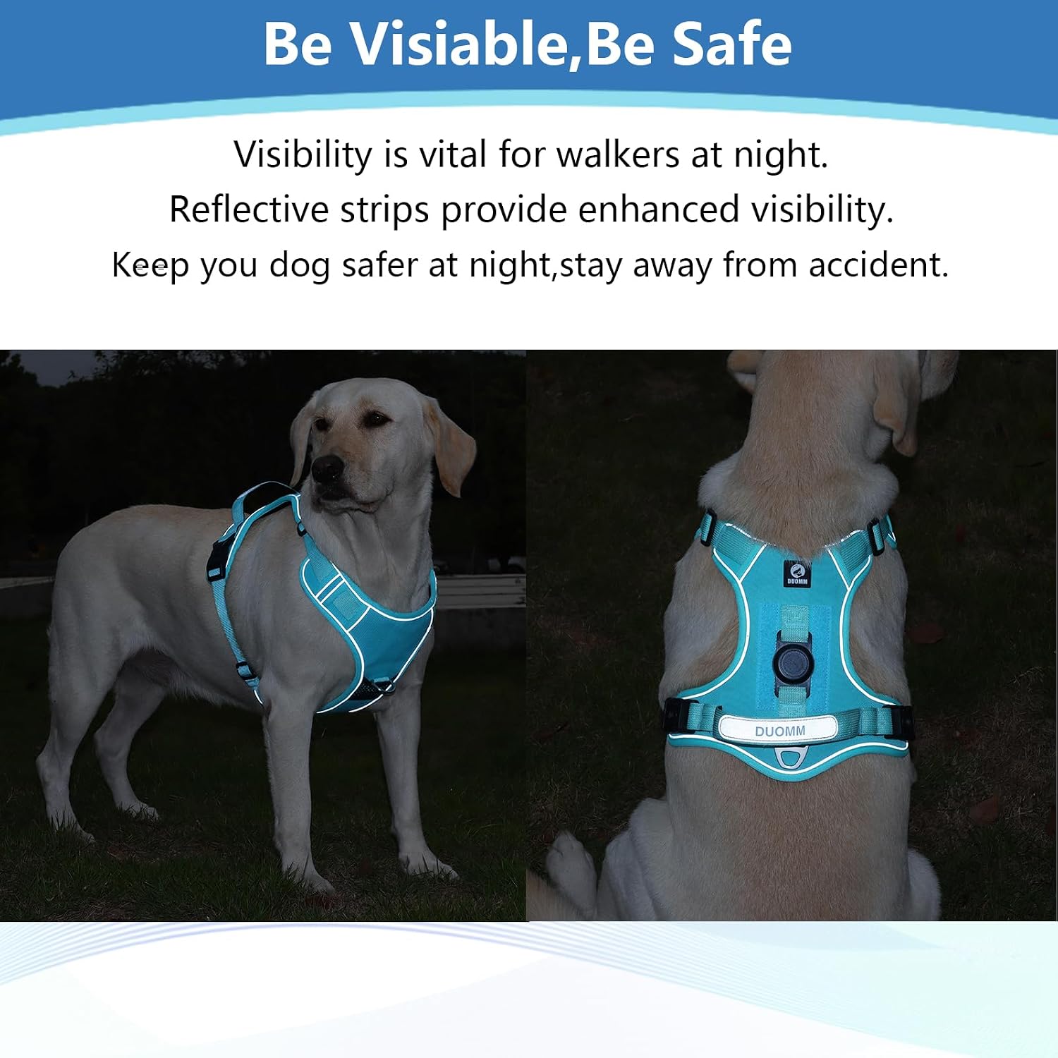 Detalle 1 de Dog Harness, Size L