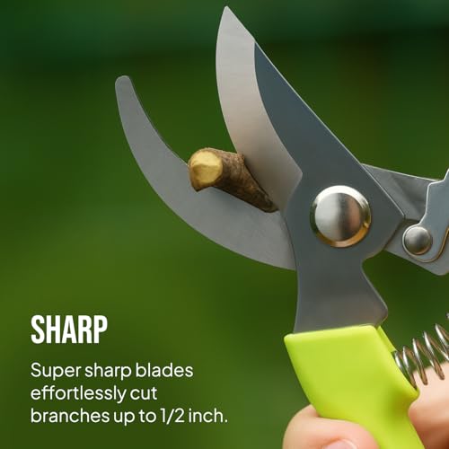Thumbnail 3 de Craft911 2-Pack Stainless Steel Gardening Scissors: Pruning Shears and Clippers