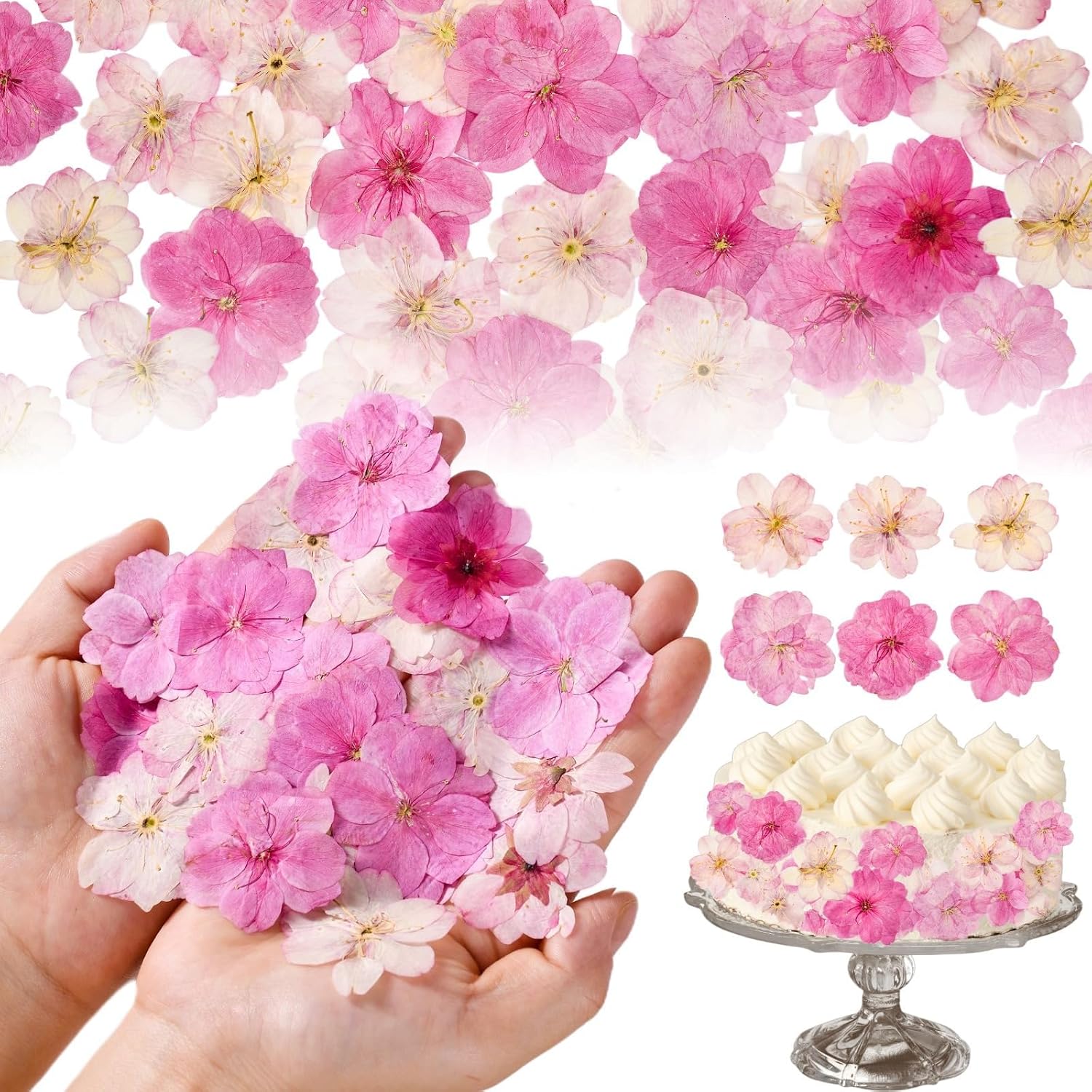 Celblisora 96 Stück Rosafarbene Natürlich Getrocknete, Gepresste, Essbare Blumen – für Kuchendekoration, Cupcake-Topper und DIY-Kunsthandwerk