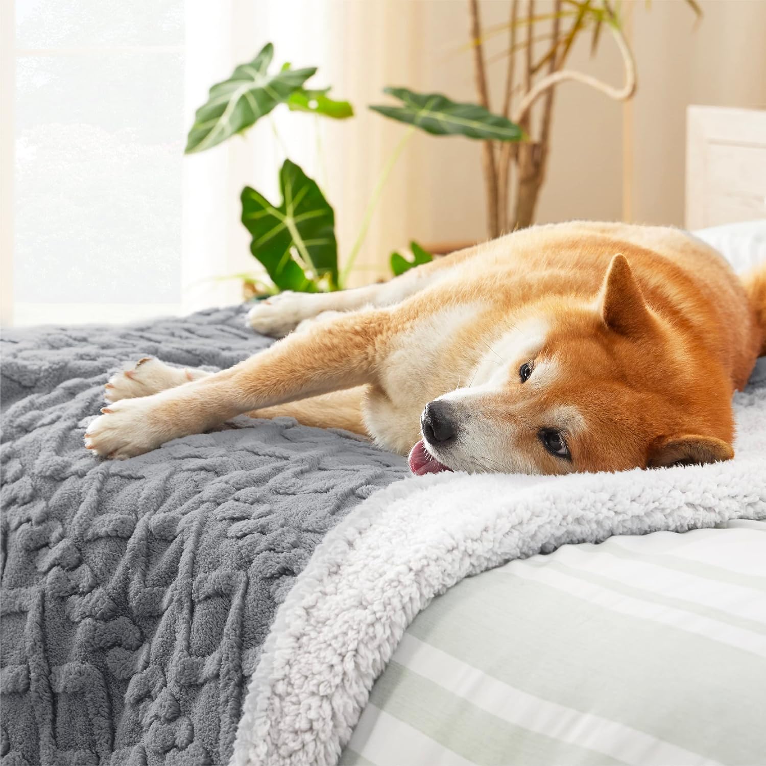 Detalle 2 de LE SURE Washable Dog Blanket Sherpa - 100x120cm Waterproof Blanket for Dogs and Cats
