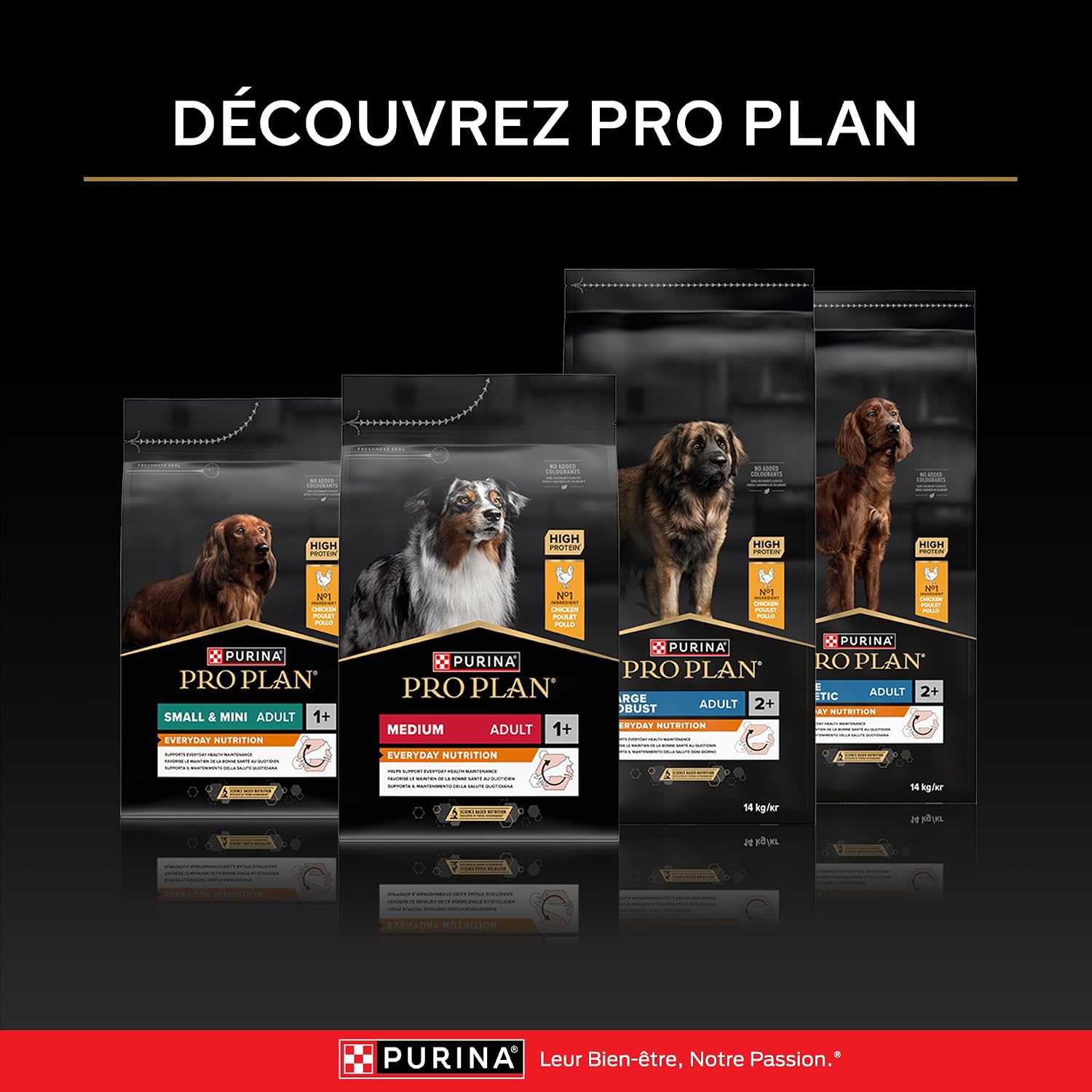 Thumbnail 6 de Purina Pro Plan Sensitive Digestion — Croquettes pour chien adulte taille moyenne, agneau, 3 kg