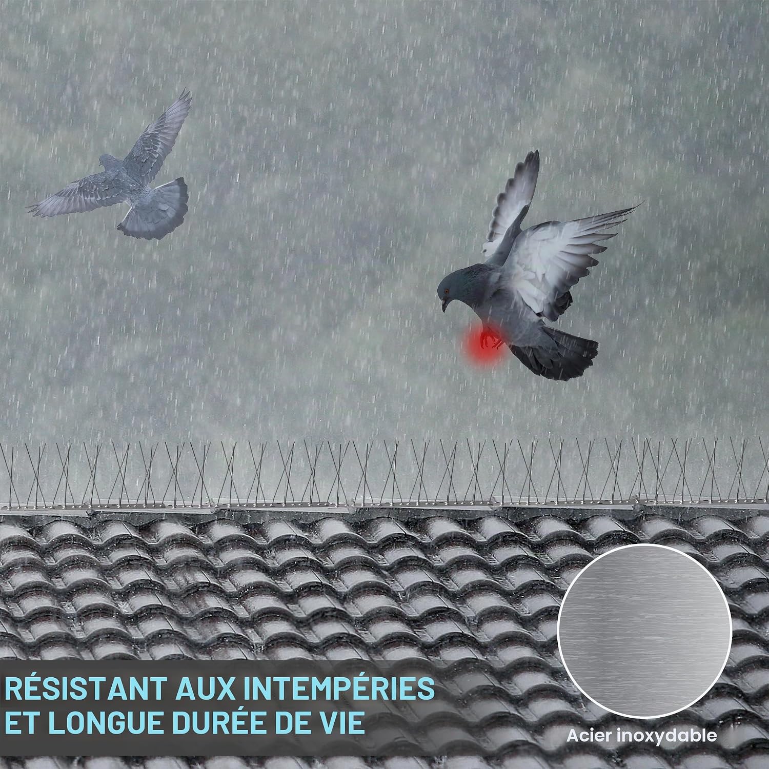 Thumbnail 5 de 5M Pic Anti Pigeon Balcon Acier Inoxydable