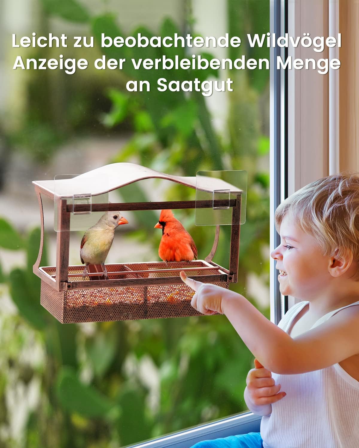 Detalle 2 de HouseSapp Fenster-Vogelfutterhaus 0,8 kg đŠ