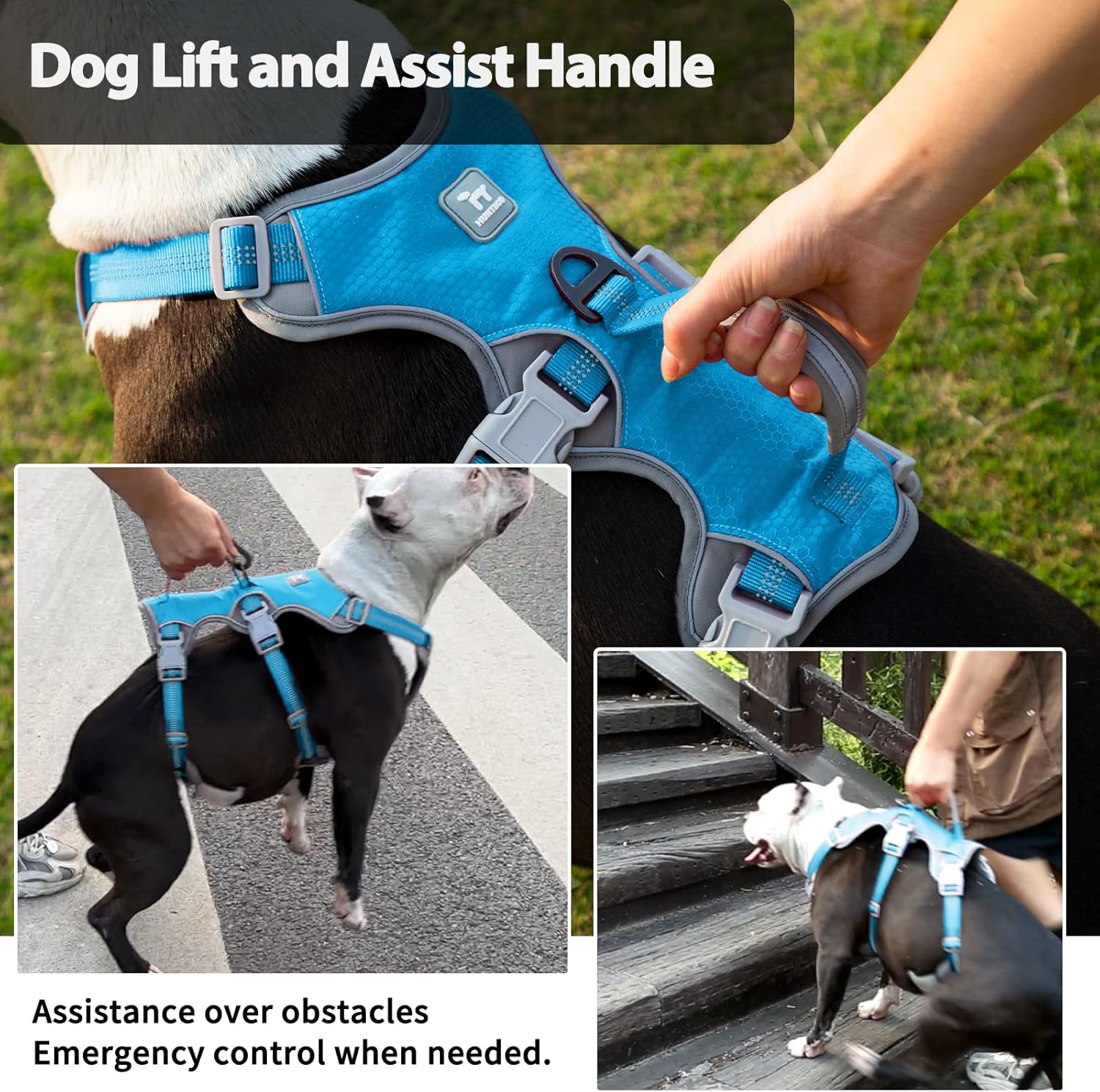 Detalle 2 de Huntboo Escape Proof Dog Harness (Medium) – anti-pull with handle, breathable mesh & reflective strips (Blue, M)