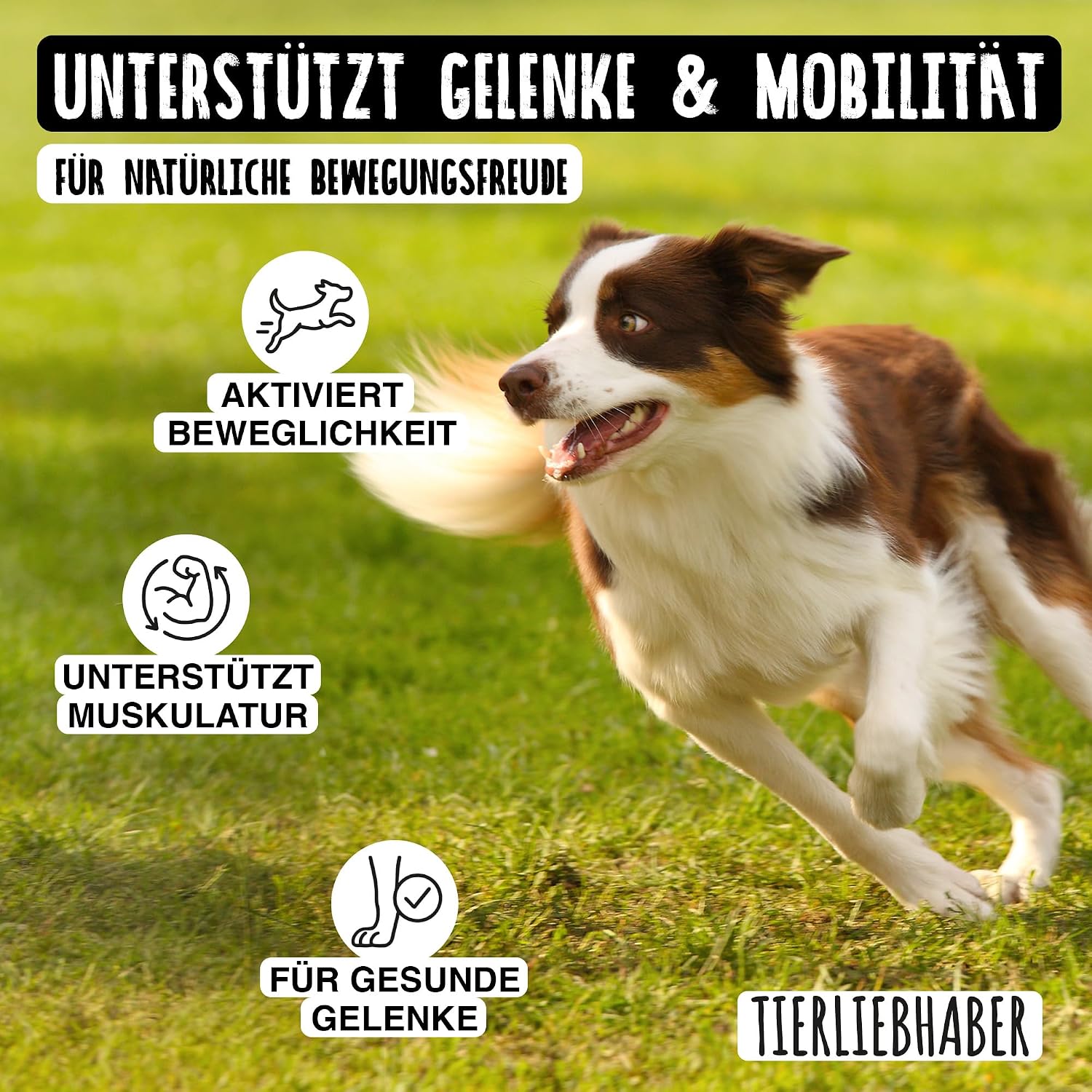 Detalle 2 de Tierliebhaber Gelenkpulver Hund 250 g