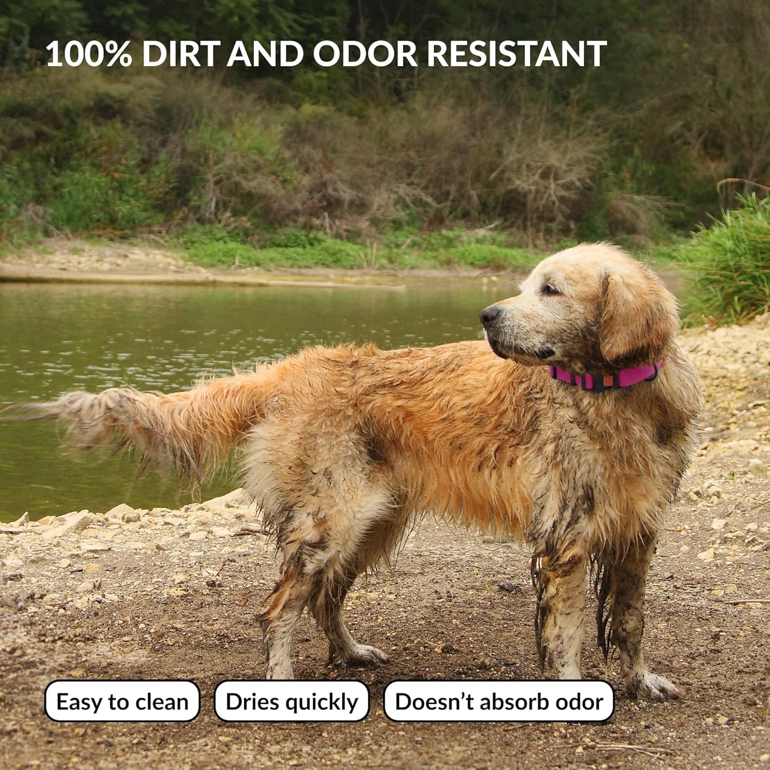 Detalle de CollarDirect Wasserdichtes Hundehalsband Verstellbar – Rosa, Größe S (25–33 cm)