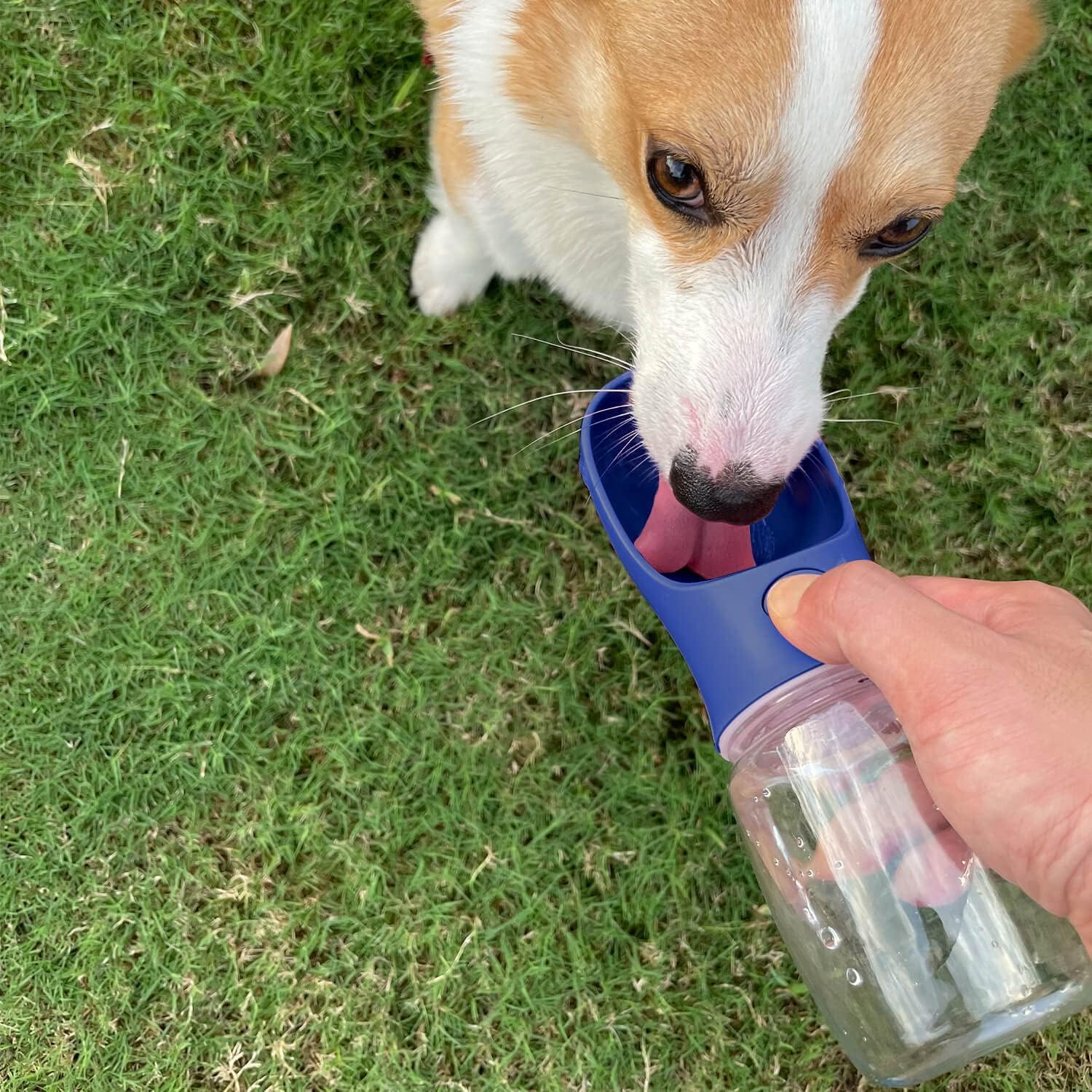 Detalle 2 de WePet Tragbare Hunde-Wasserflasche 550 ml