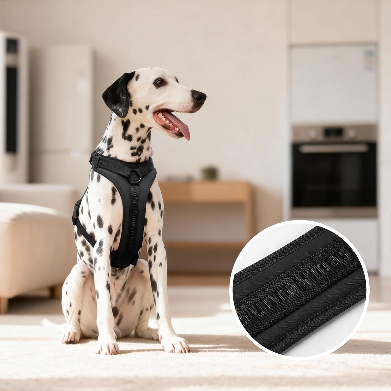 Thumbnail 4 de Sunraymascota Imbracatura per cani con imbottitura in Lycra: comfort traspirante per ogni passeggiata (Taglia M, Nero)
